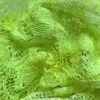 image1+%2856%29-1.jpg