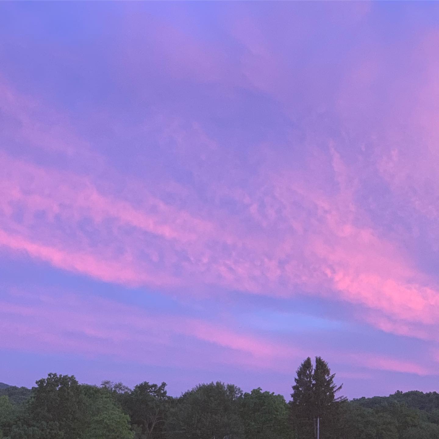 After a torrential downpour in Salibury Mills, New York, 2019.