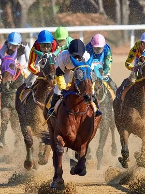 Horseracing Integrity Act will crack down on drugging, protect racehorses.