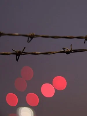 A New Study Uncovers Troubling Information About Immigrant-Only Prisons.