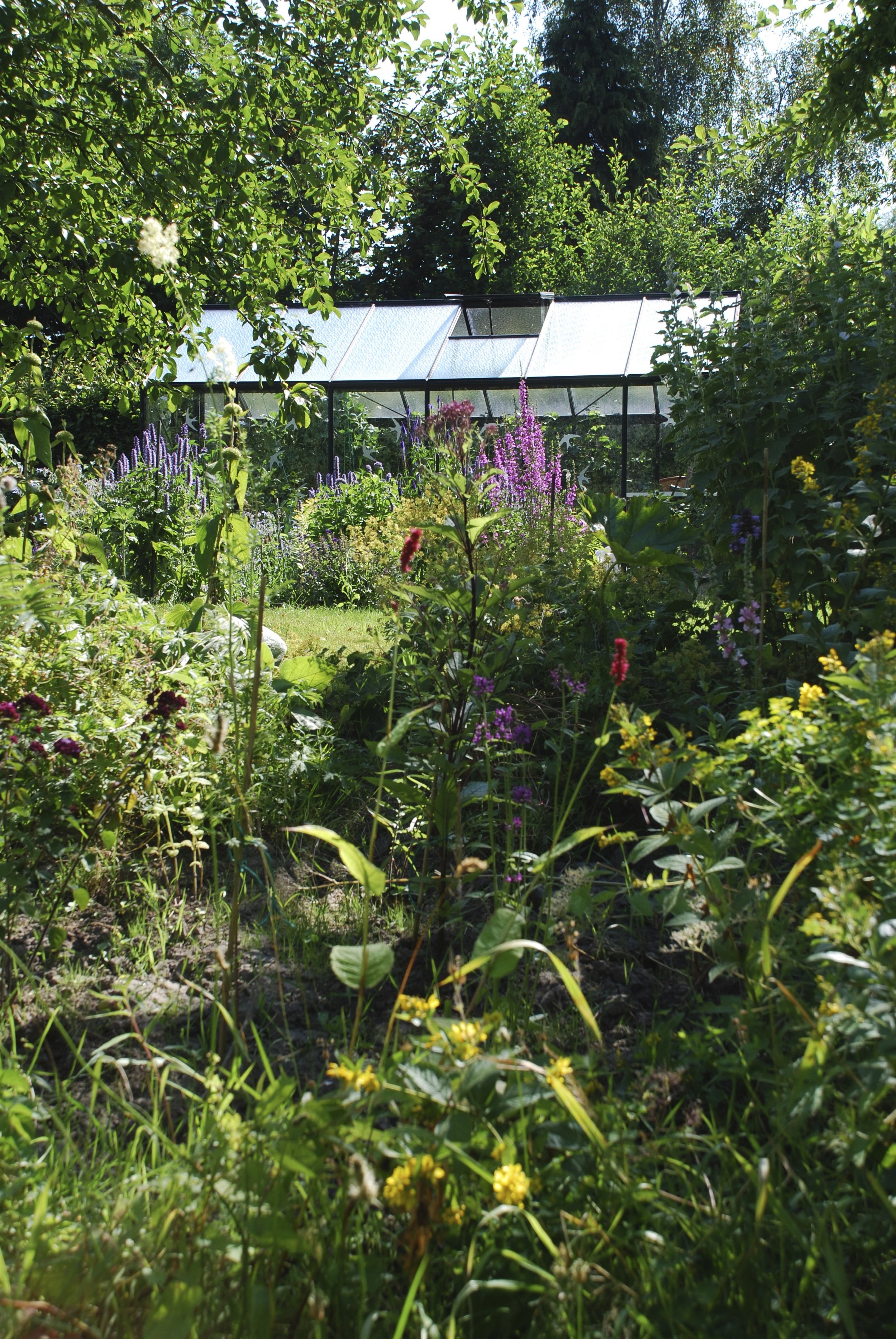  onze tuin in pieterburen 