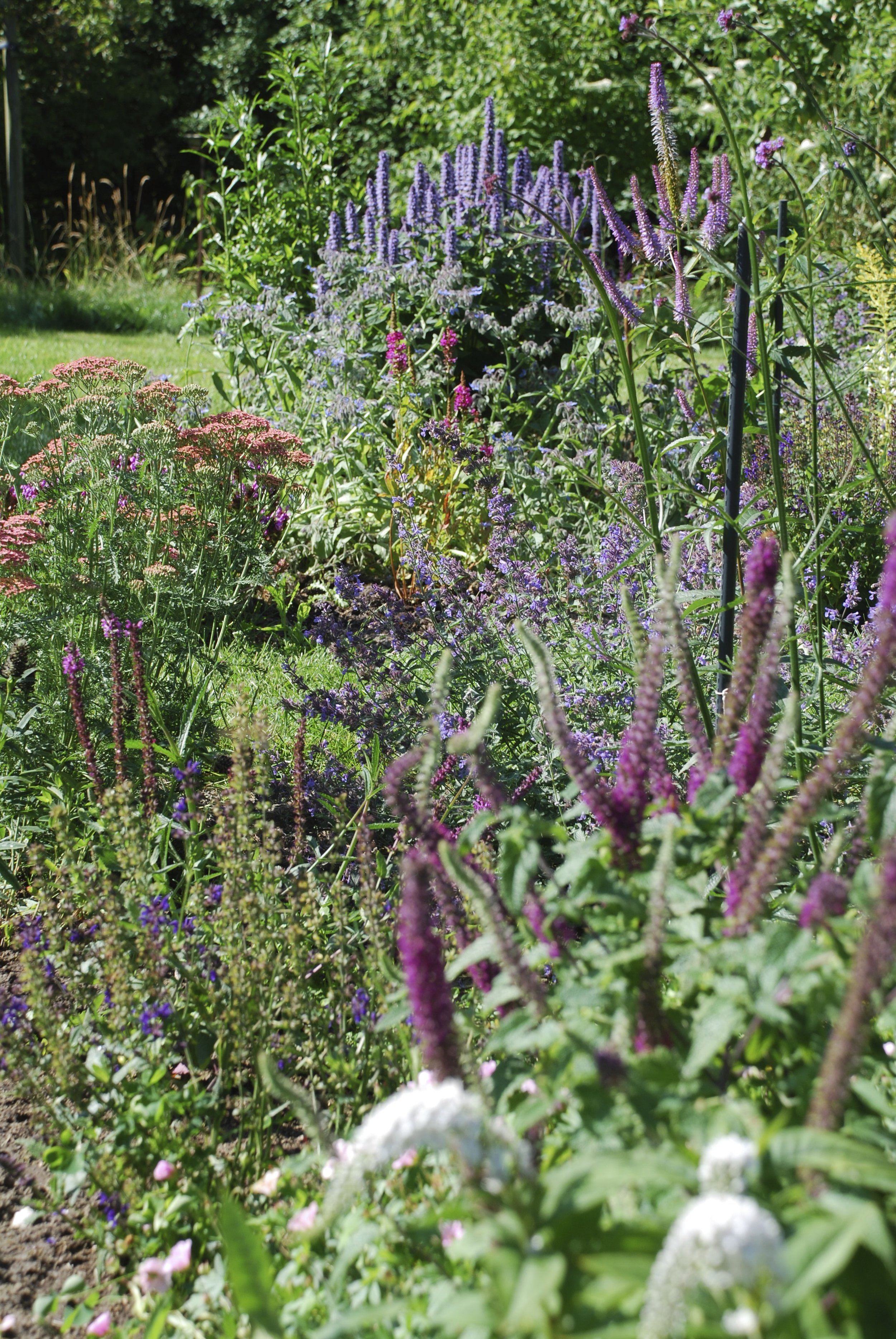  onze tuin in pieterburen 