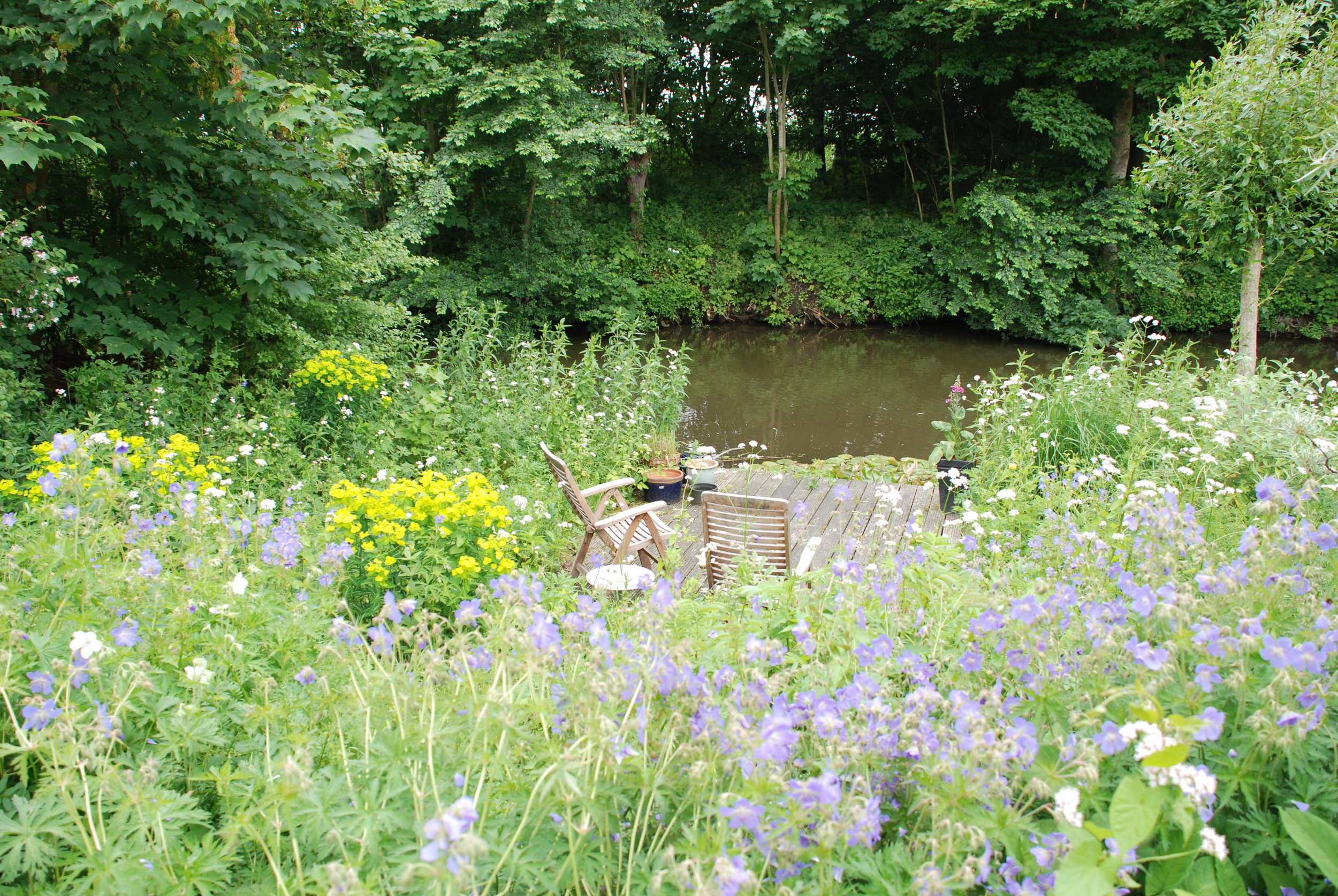  onze tuin in pieterburen 