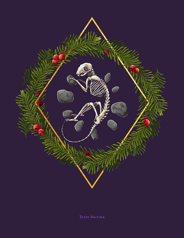 Yew