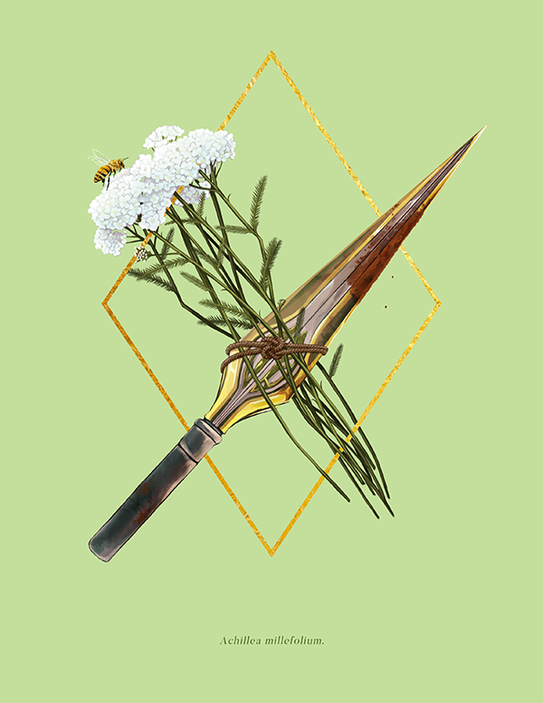 Yarrow