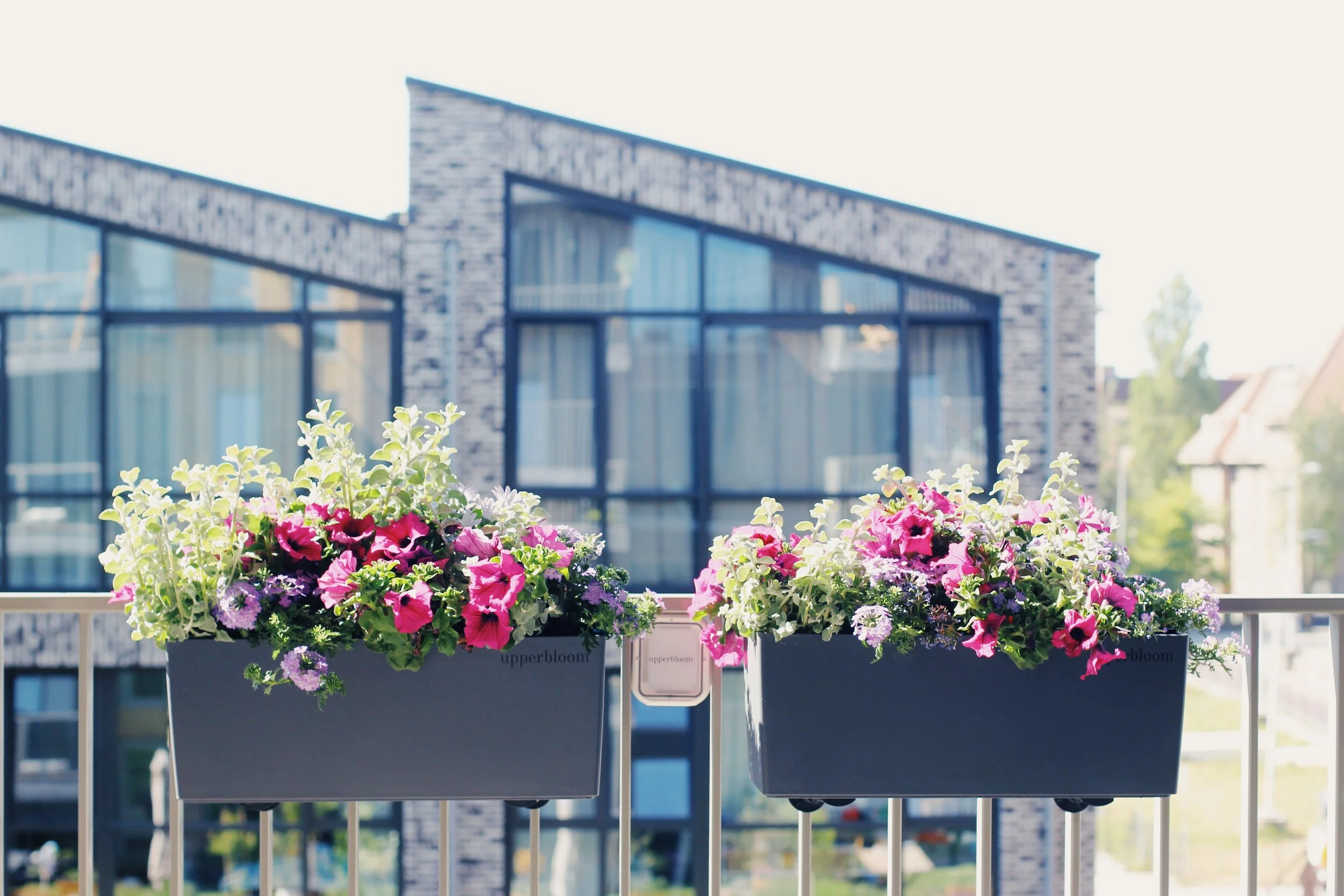 Monitoring the condition of balconies for a premium planter subscription service