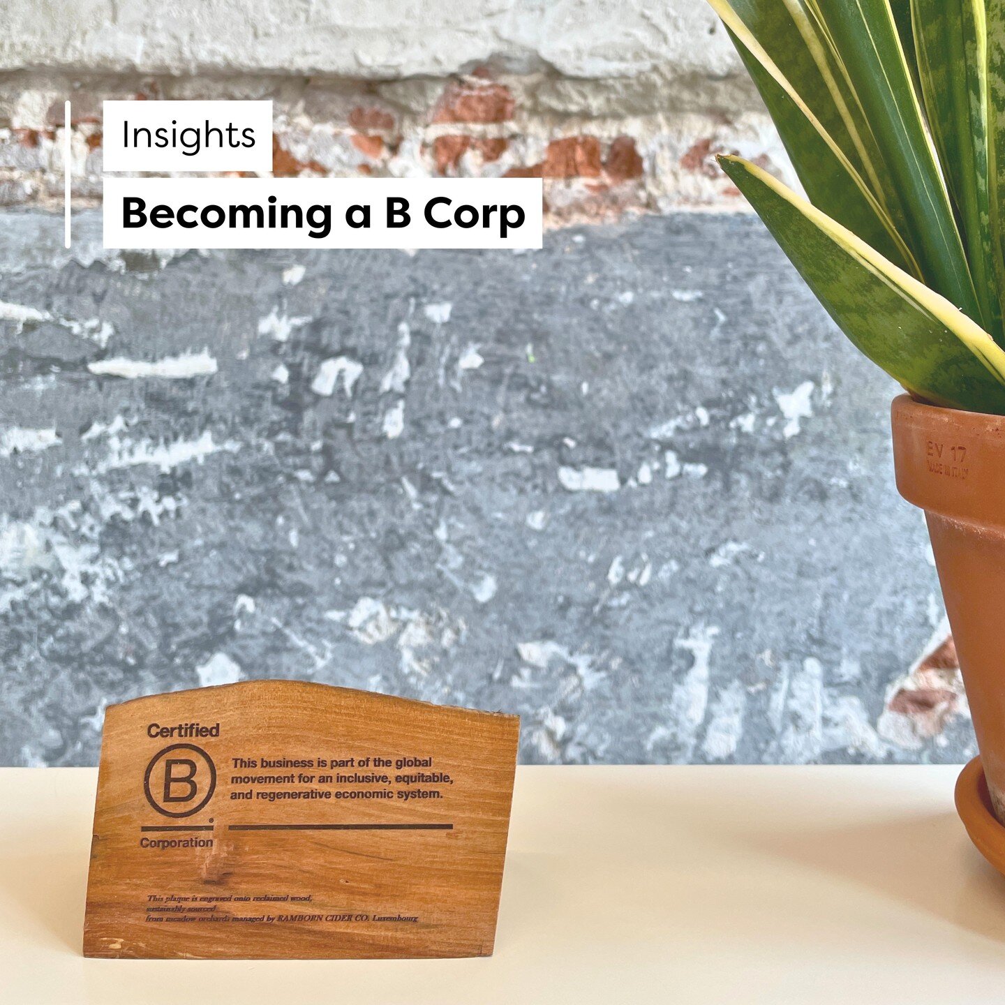 At FROLIC studio, we simply love March 🌸 Why? Well, it brings along spring, and, should this not be a good enough reason, it is also #BCorpMonth!

In 2022, we toasted to FROLIC studio receiving its B Corp certification and proudly joining the B Corp