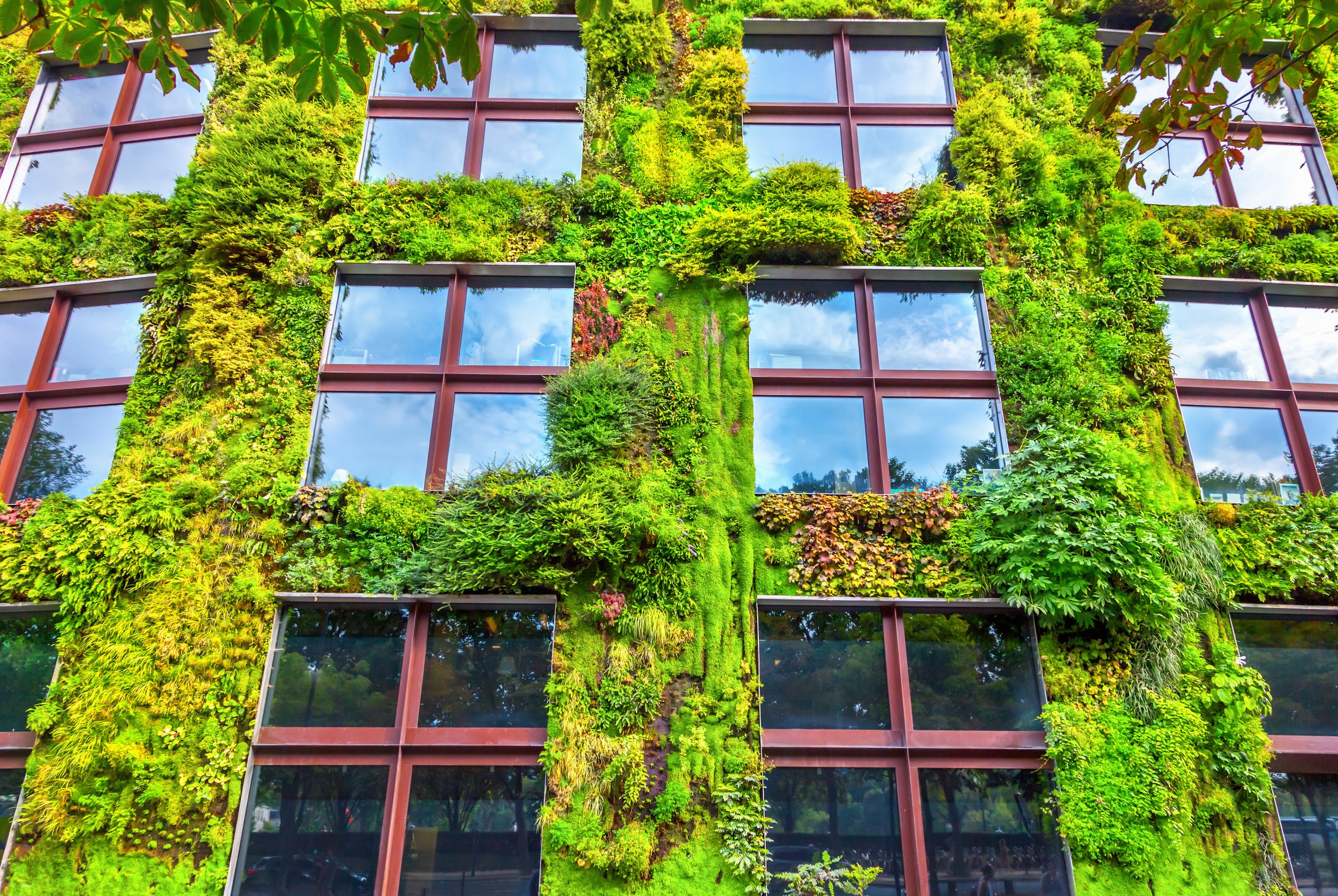 Living walls can reduce heat lost from buildings by over 30%, study shows