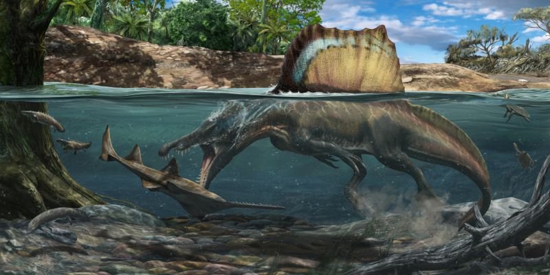 Dense bones allowed Spinosaurus to hunt underwater