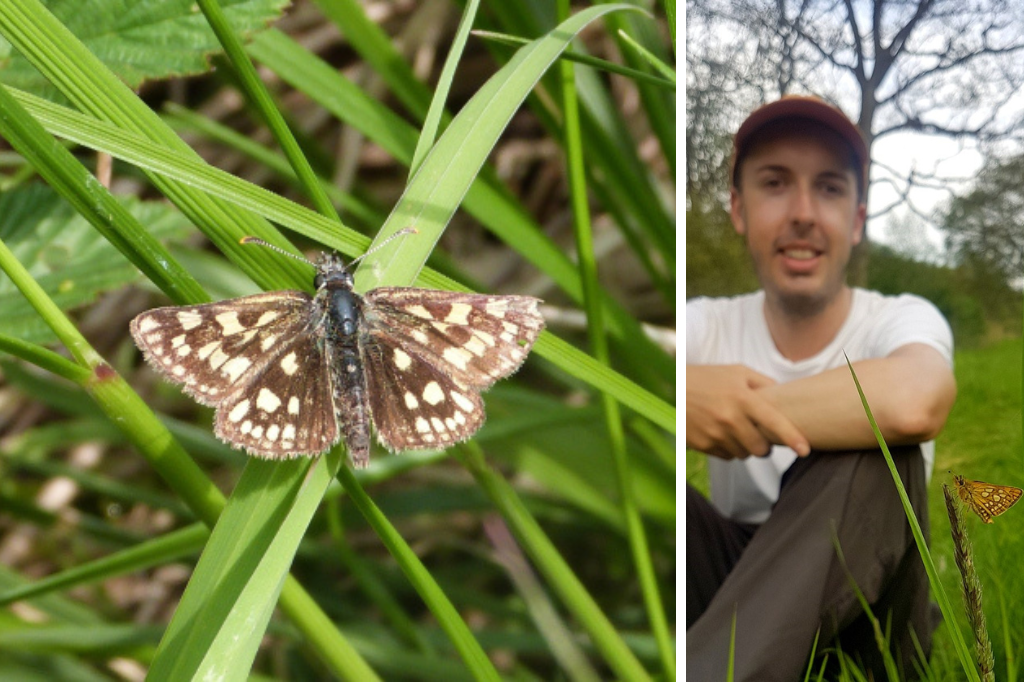 Researcher Jamie to tell the story of butterfly reintroduction project