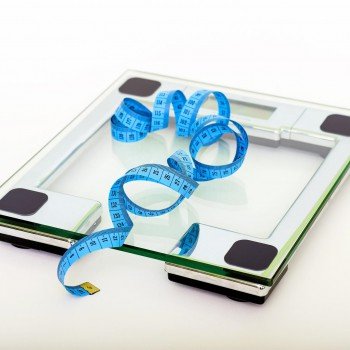 Could special plate help you lose weight?