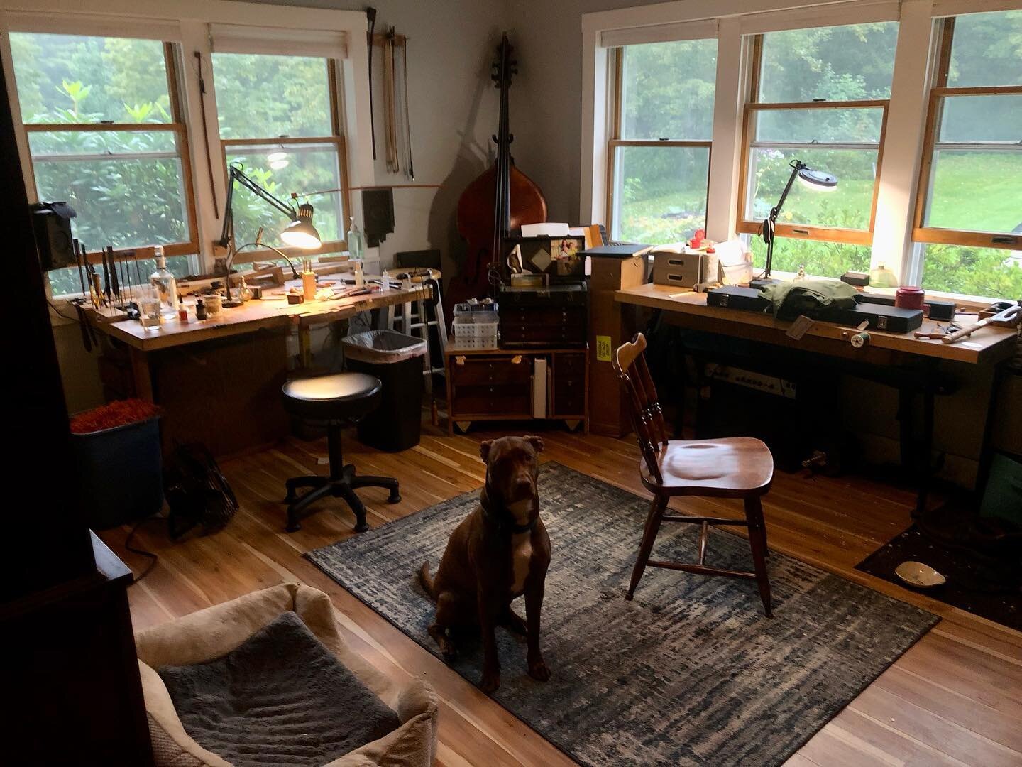 Daphne is ready for a rainy, jam packed day in the shop. 
Nice place to walk into every morning. 
 #dog #shopdog #bowmaking