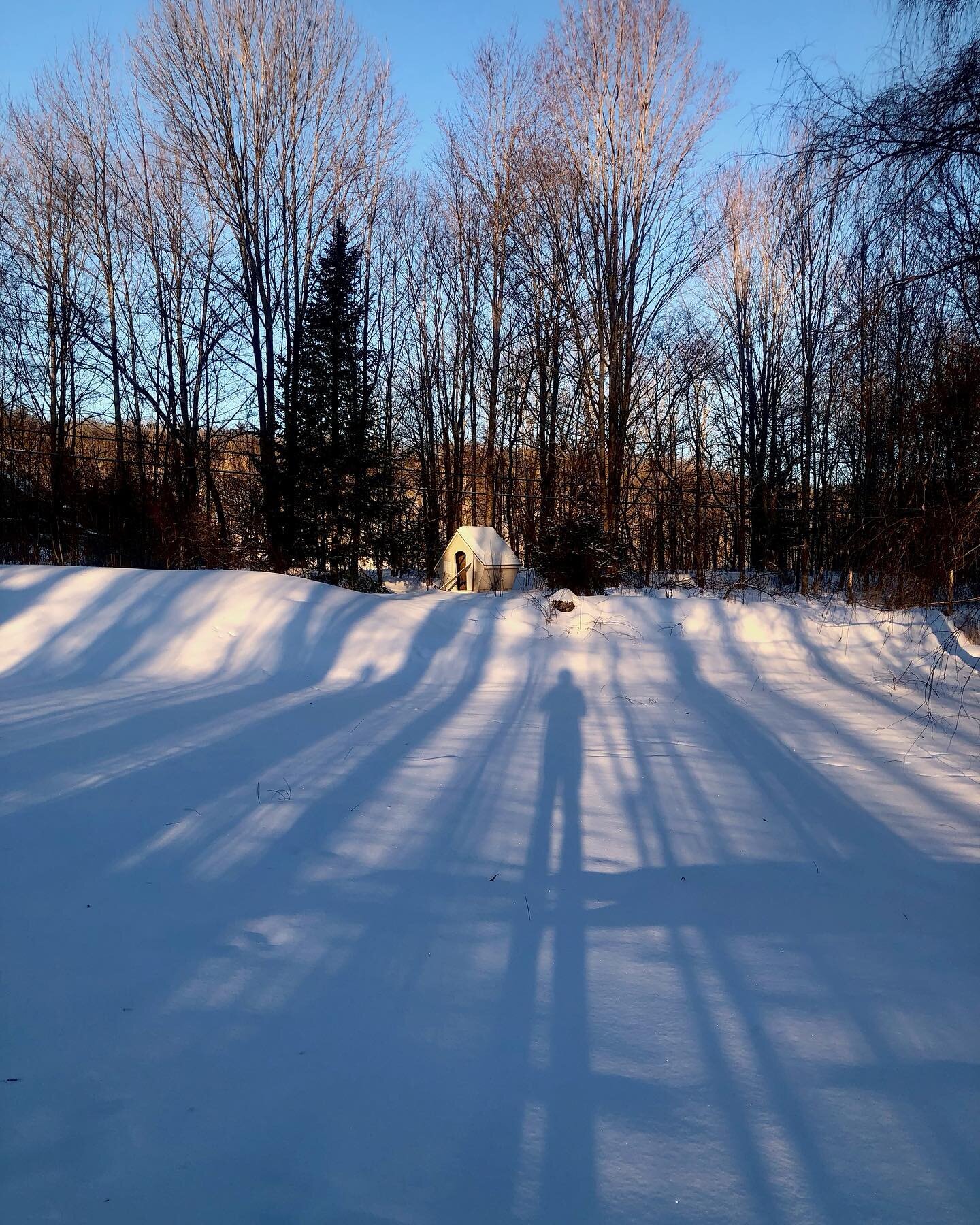 Long shadow coffee-walk in the back yard
#winter #snow #vermont