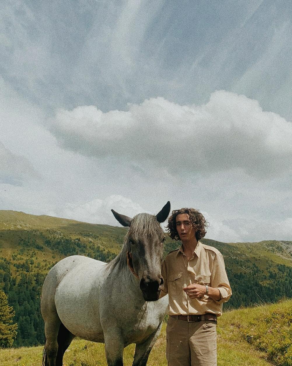 Oh to be a horse in the Alps