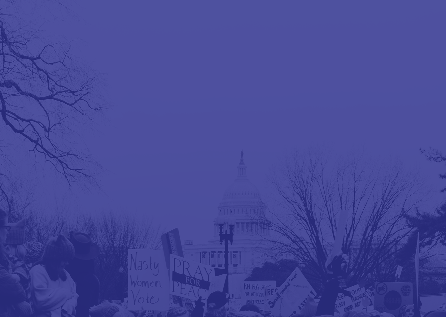 WebsiteImage-Protest.png