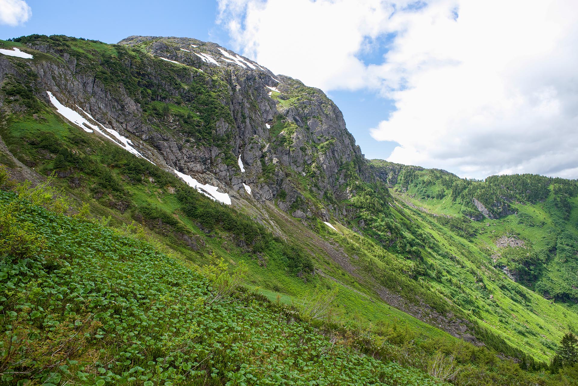 Mt. Jumbo from the ridge.