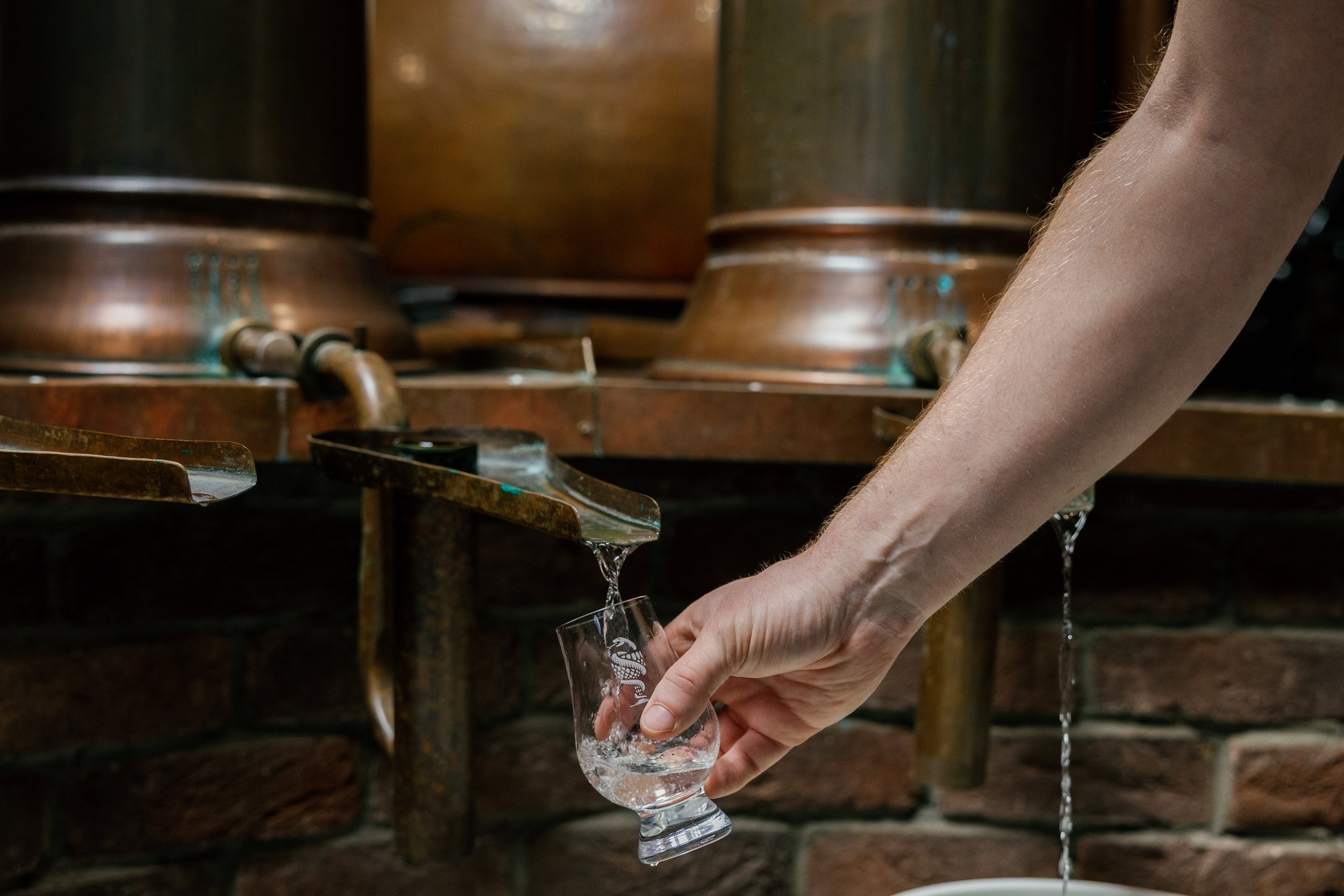 What is Gin? A Brief History and Quick Overview of the Botanical Beverage