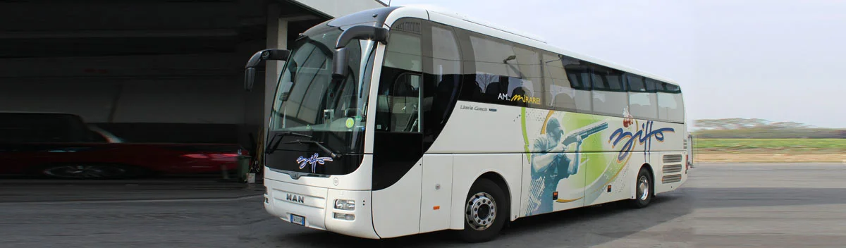 iveco pullman biffo bra.jpg