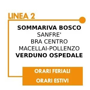 linea2.webp