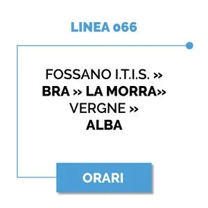LINEA 66.jpg