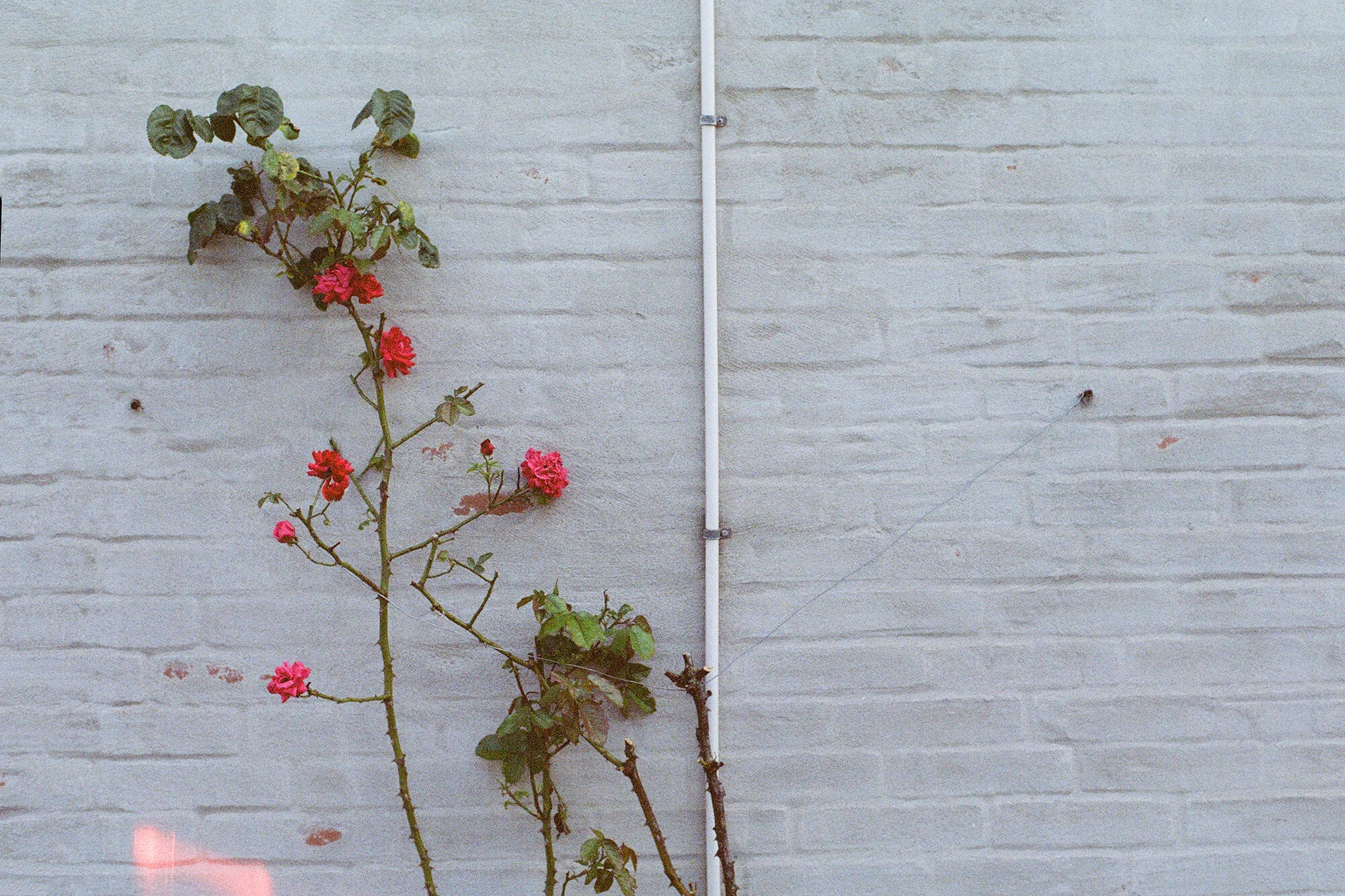 000032820034.jpg