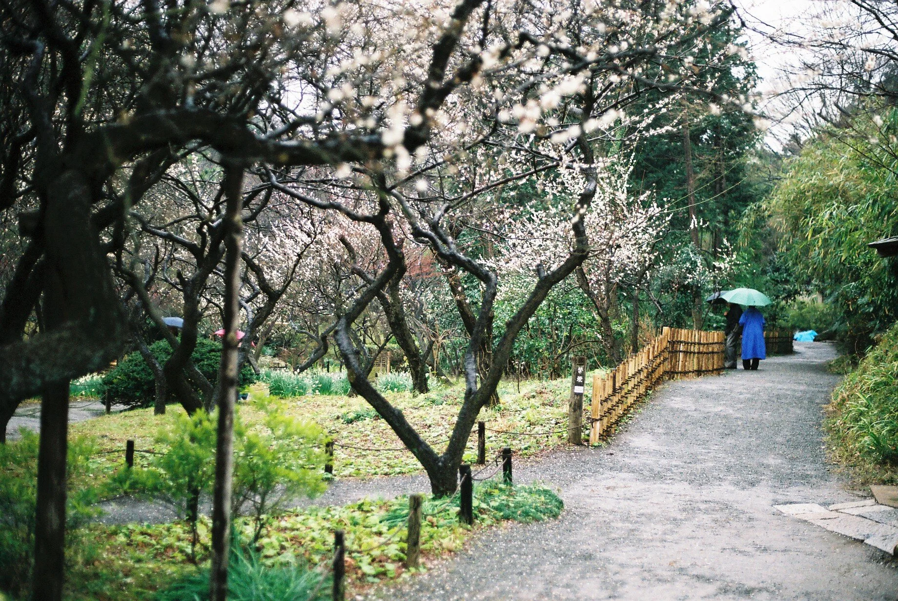 FH020026.JPG