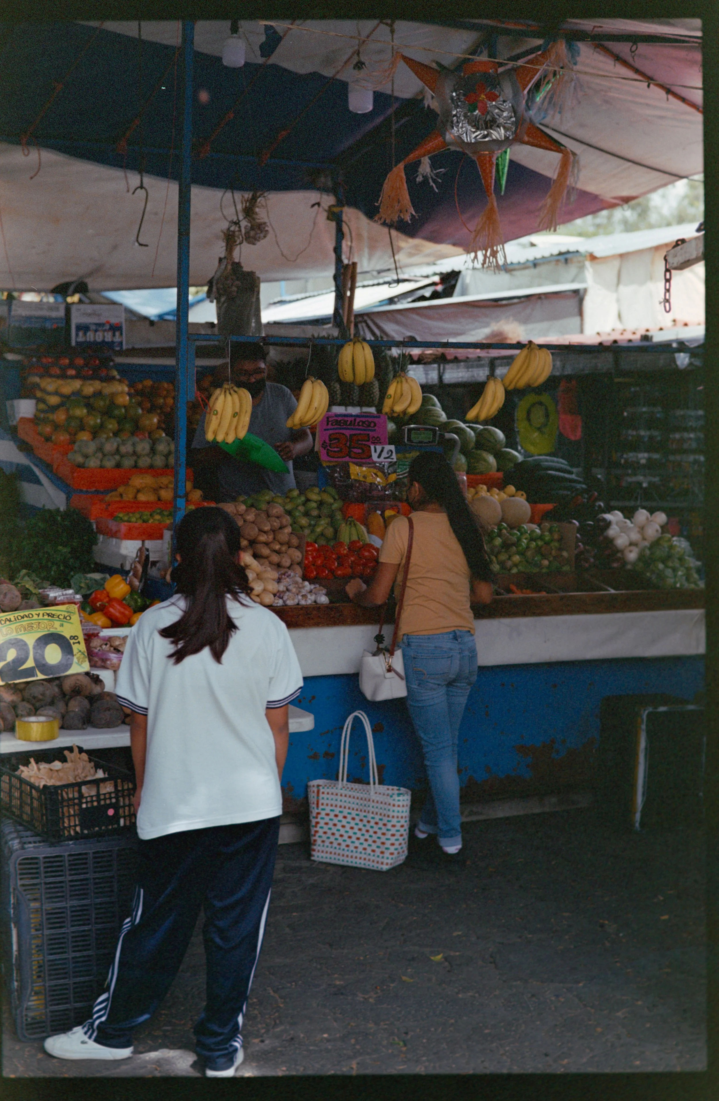 FUJI S100_6.jpg