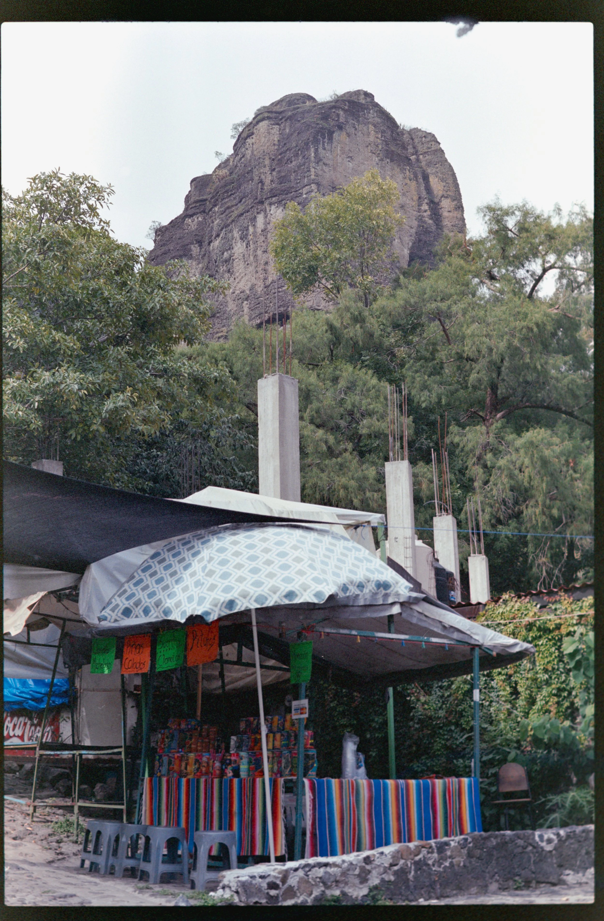 FUJI S100_17.jpg