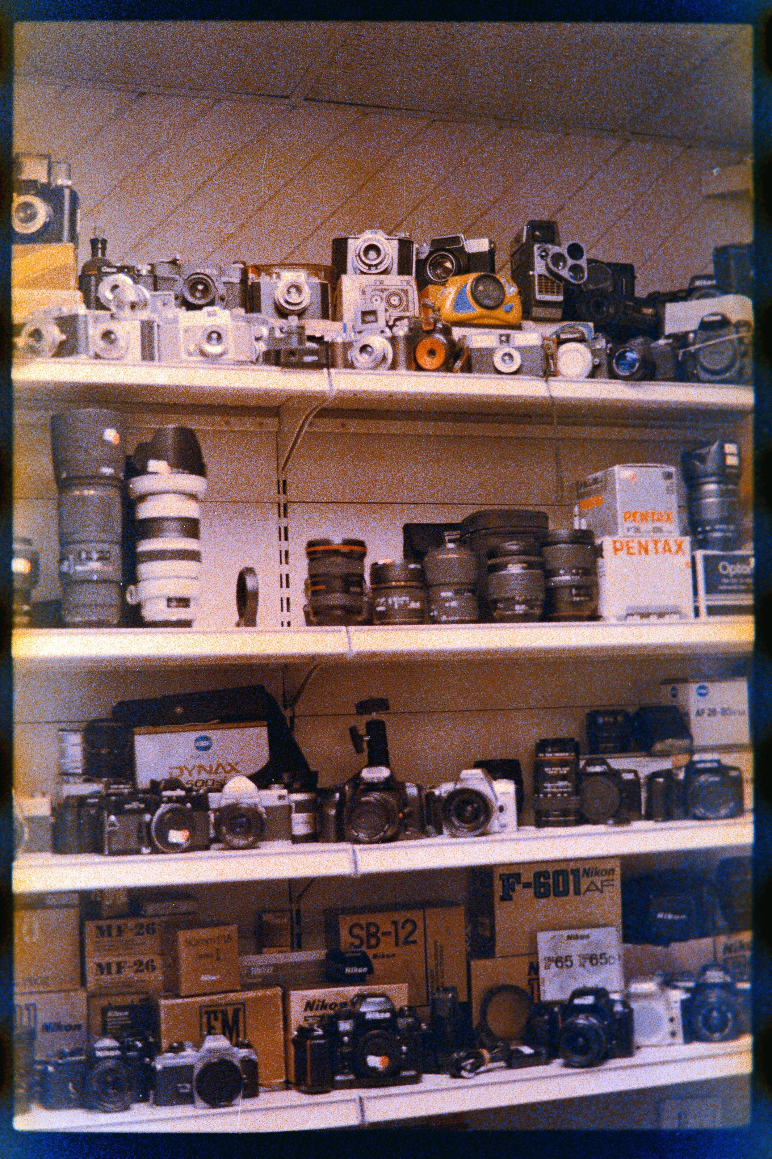 NAT_ISO200_3615-25.jpg