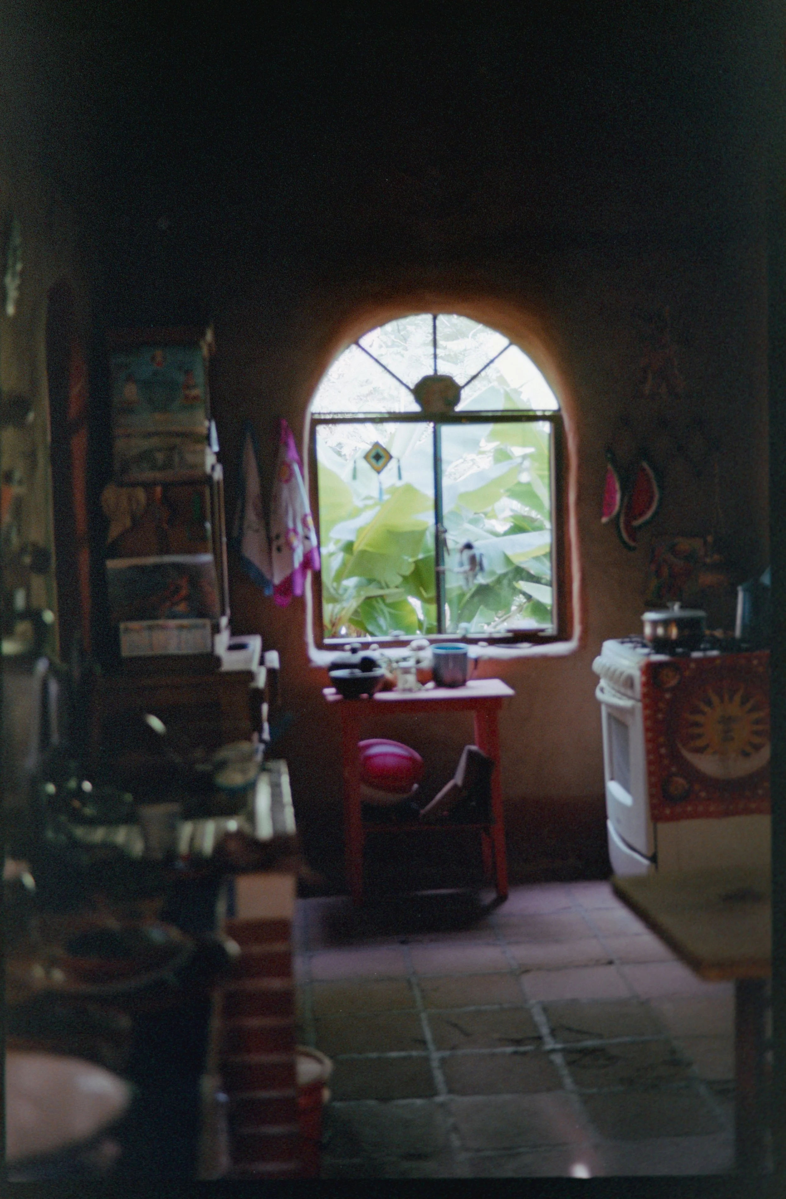 FUJI S100_20.jpg