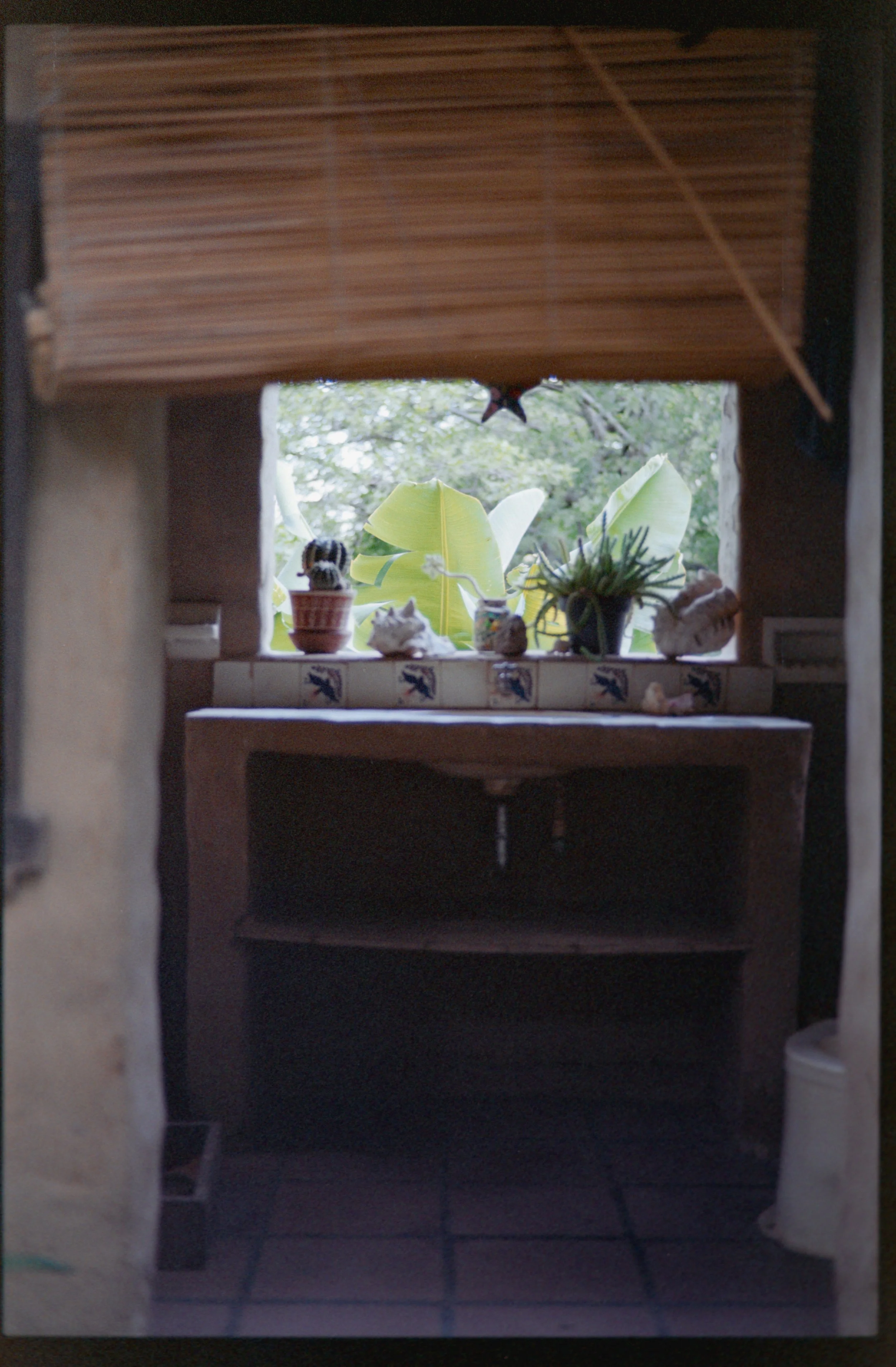 FUJI S100_32.jpg