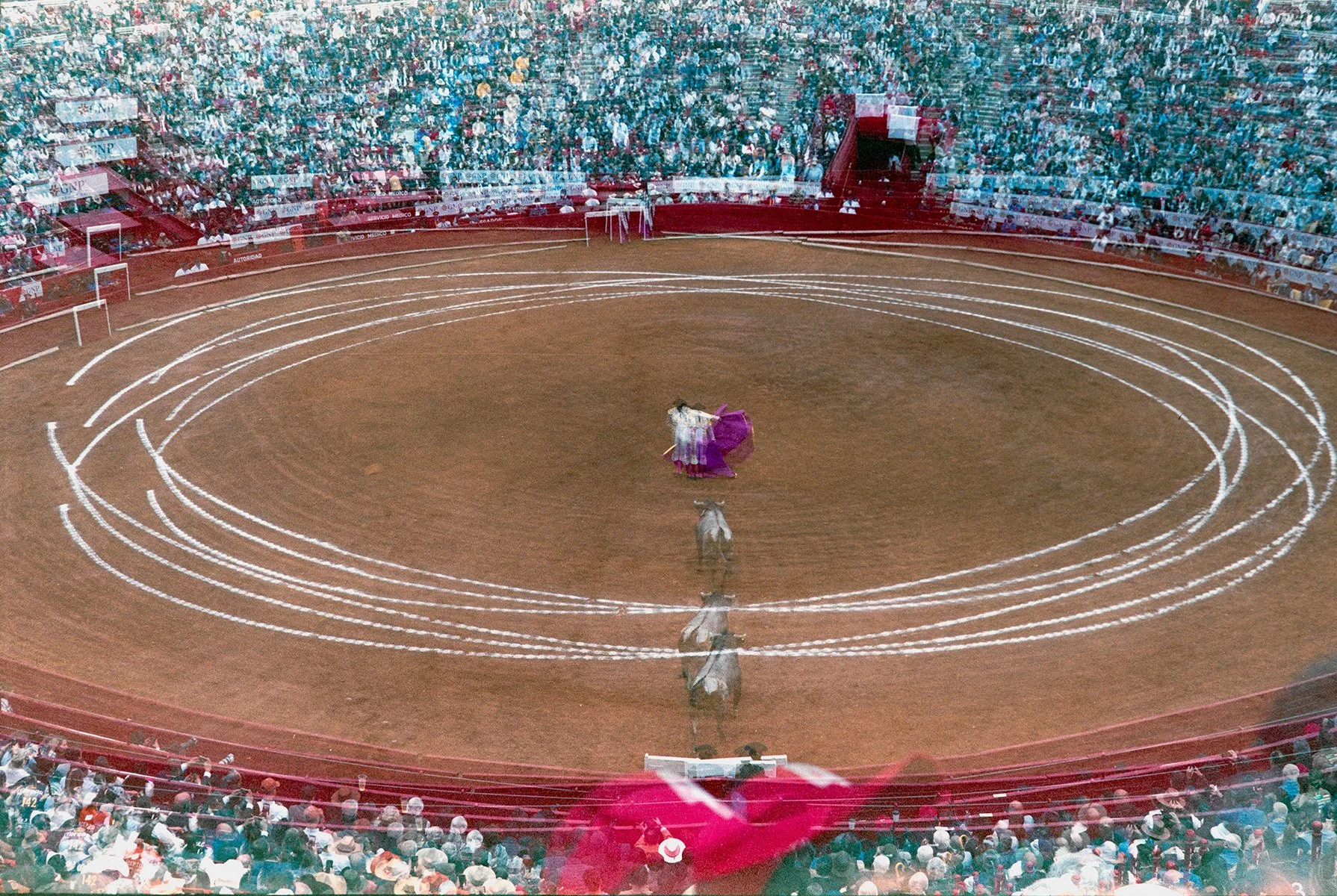 Torro Mexico Bull fight small.jpg