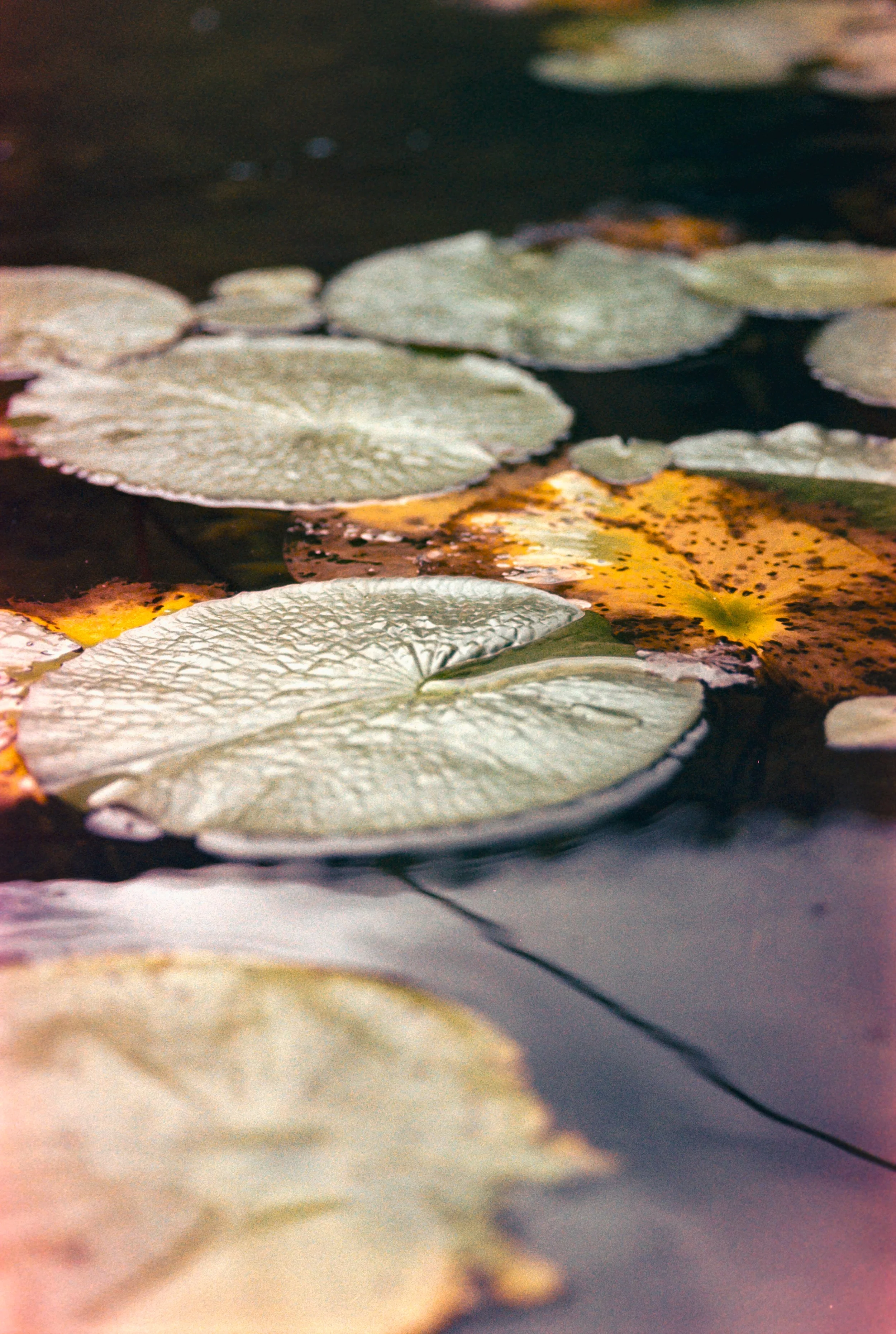 NATALY_K200_1228_-20 new.jpg