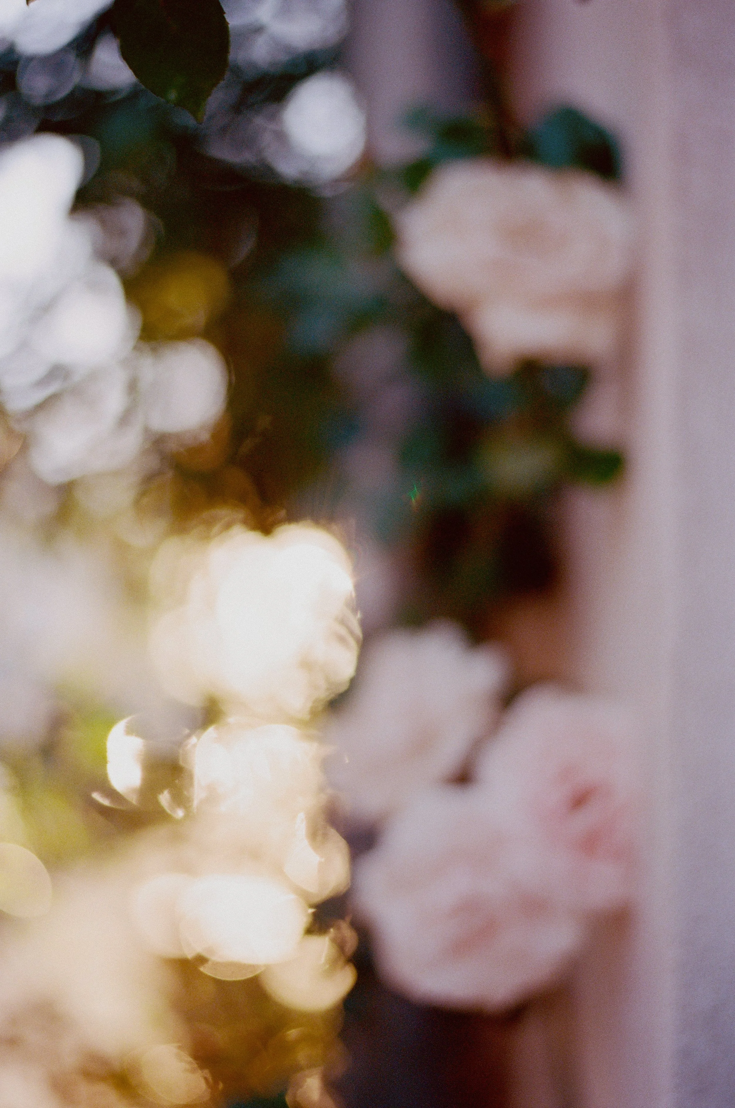 small 000006940013.jpg