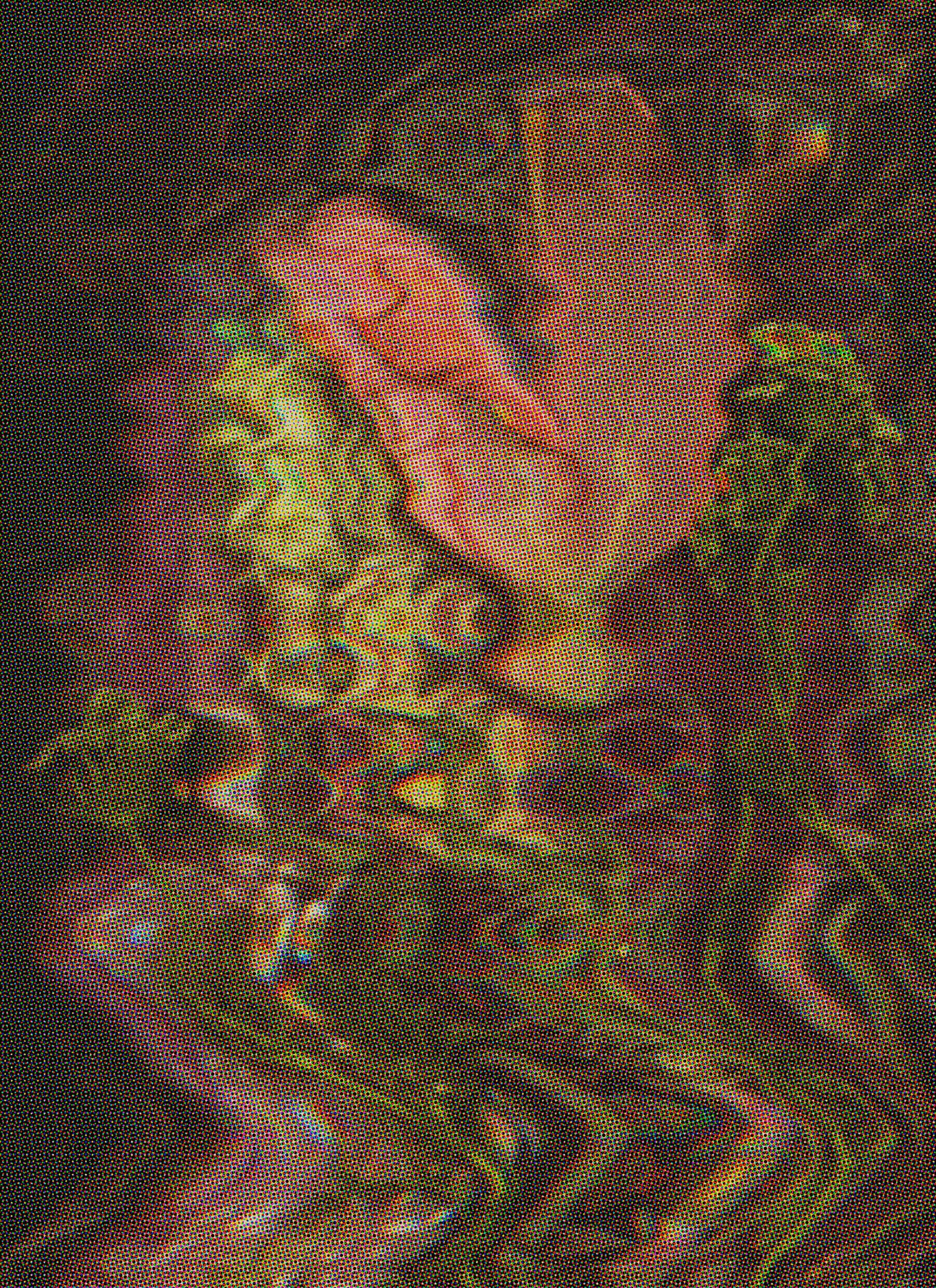 small old flowers scan 1.jpg