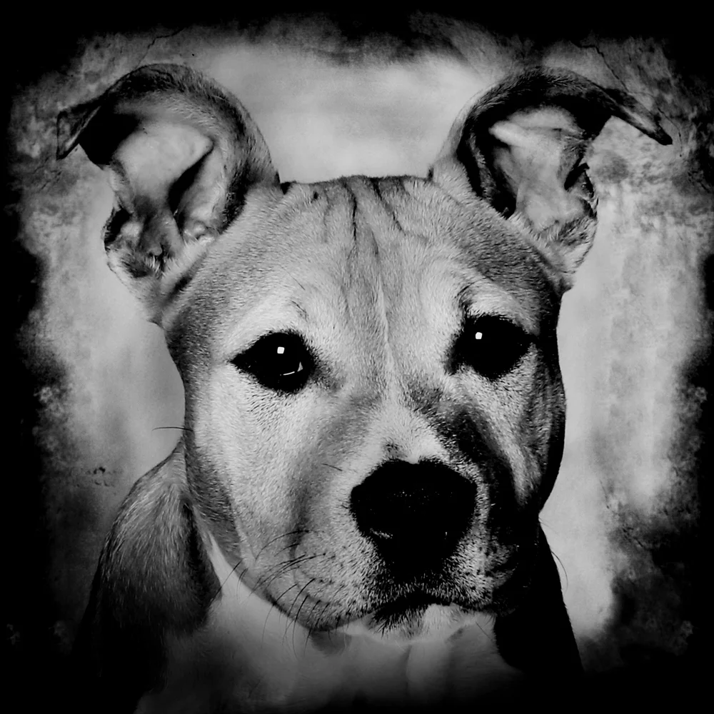 sturen via  facebook 15 x 15 web.jpg