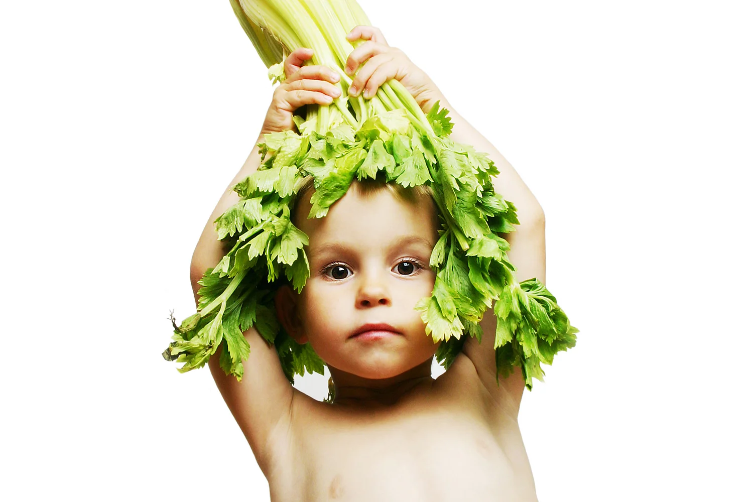 selder groter 2 web 2.jpg