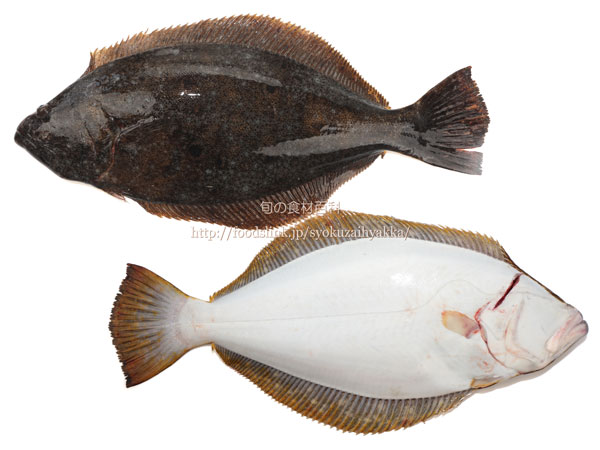 4th Generation Farmed Fish敢然養殖 Yama Seafood Inc 4th Generation Farmed Fish敢然養殖 Yama Seafood Inc