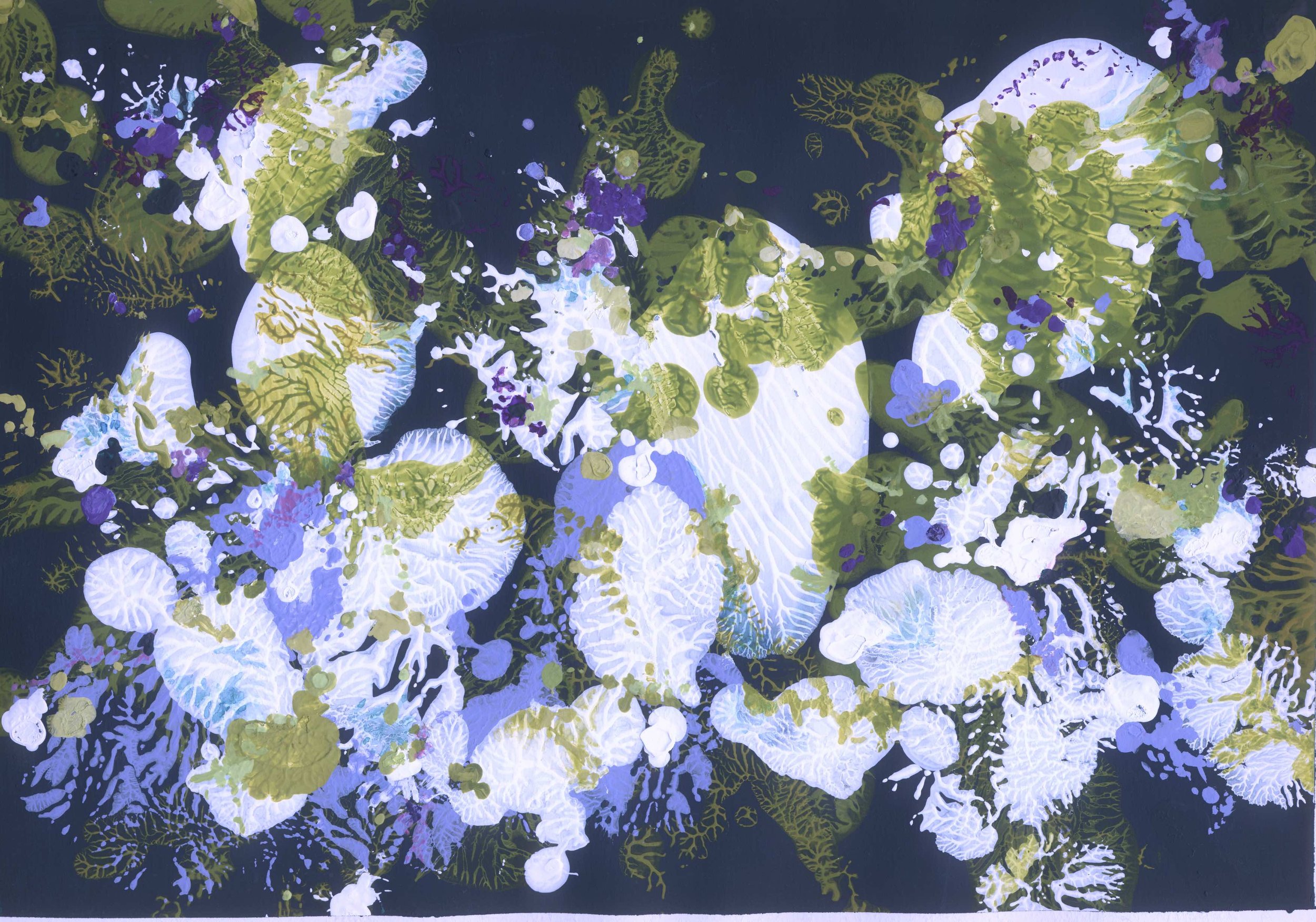 hors champ 2 web.jpg