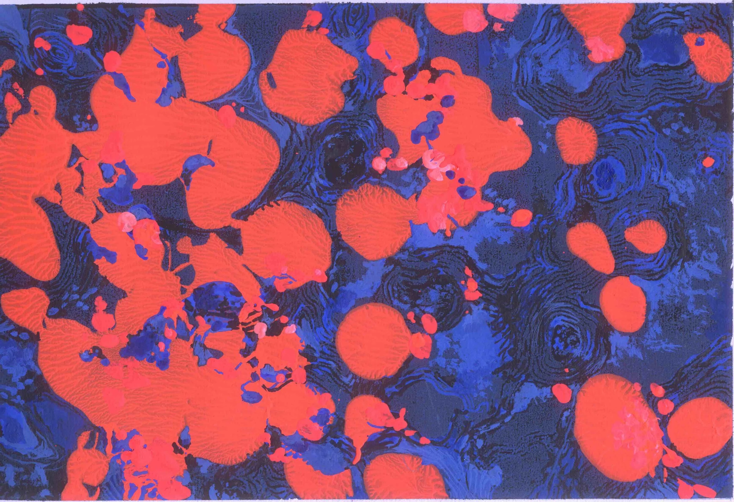 hors champ web 1.jpg