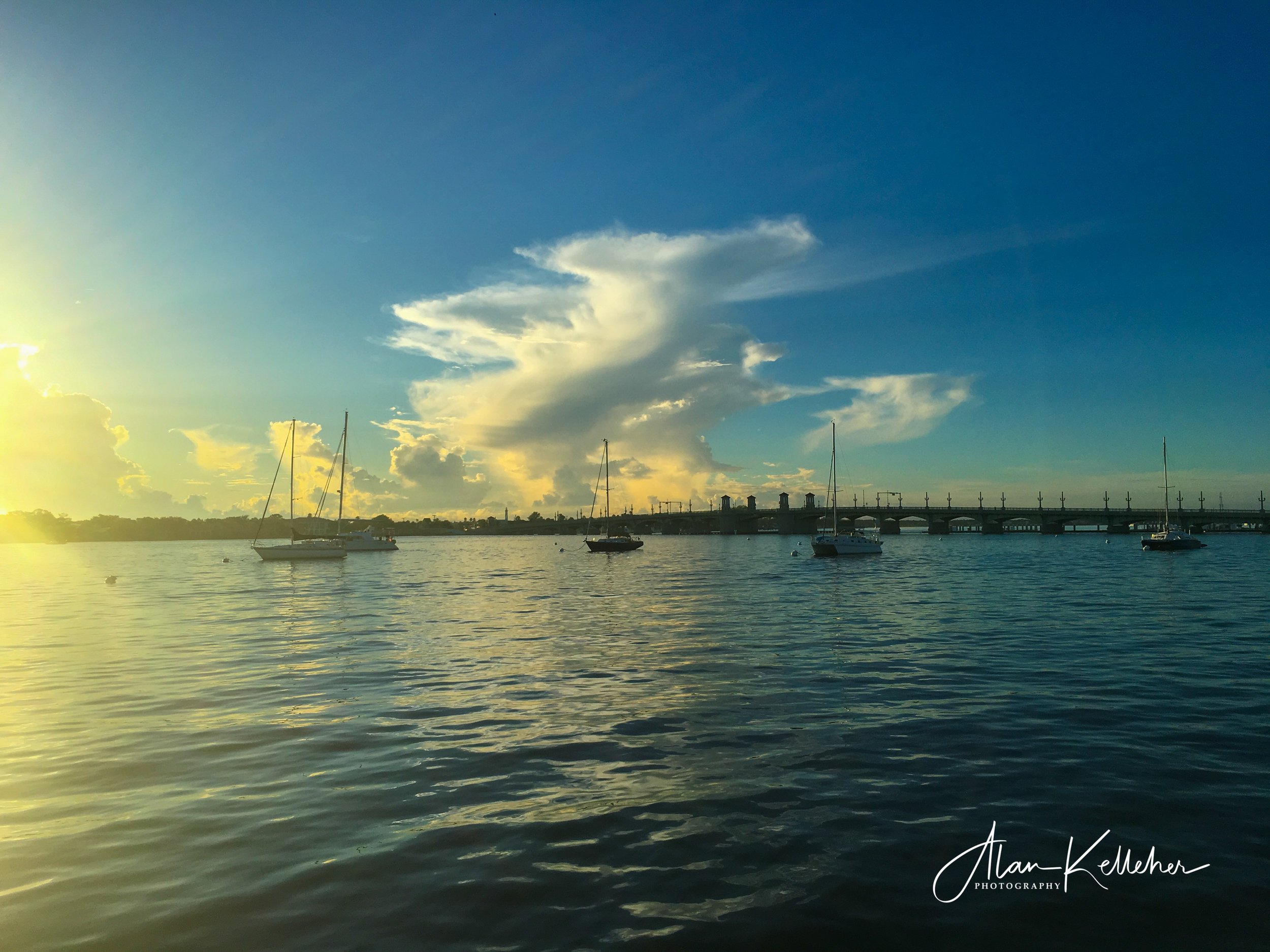 staug-9.jpg