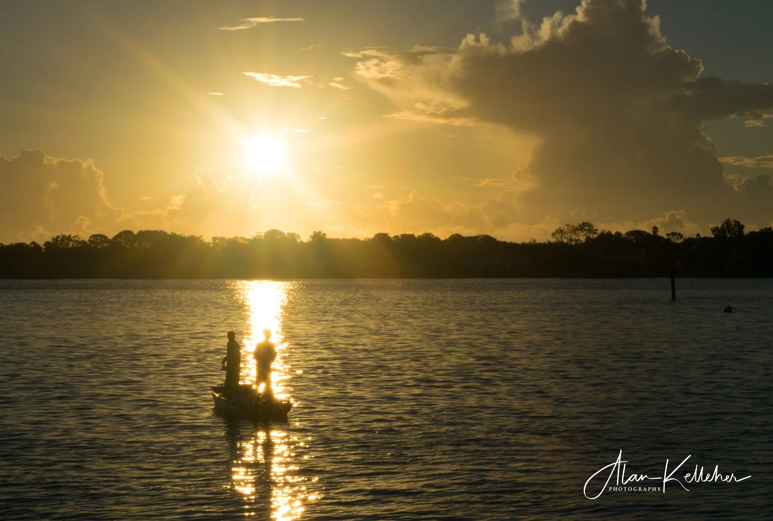 staug-6.jpg