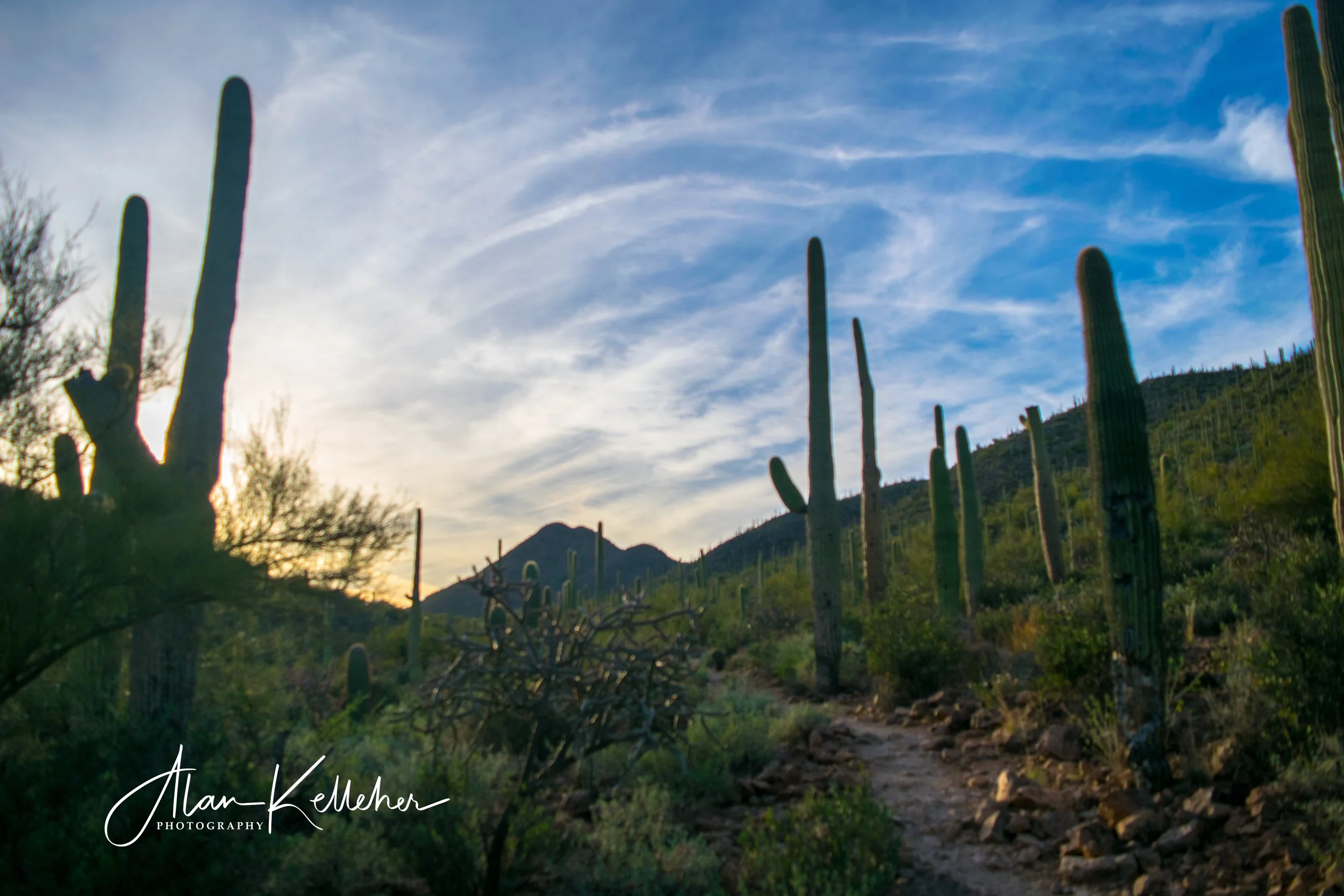 Arizona March 2018-5.jpg