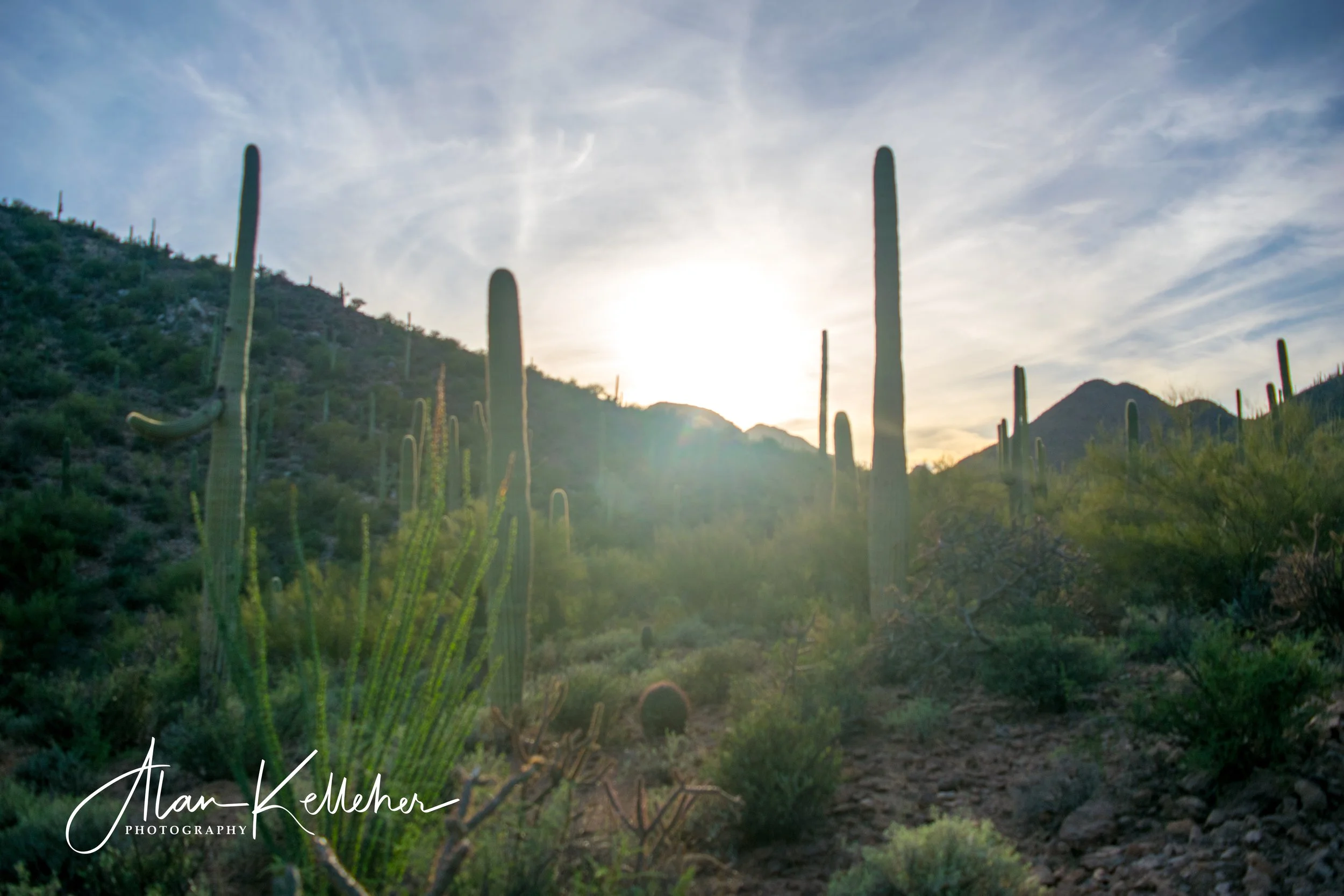 Arizona March 2018-8.jpg