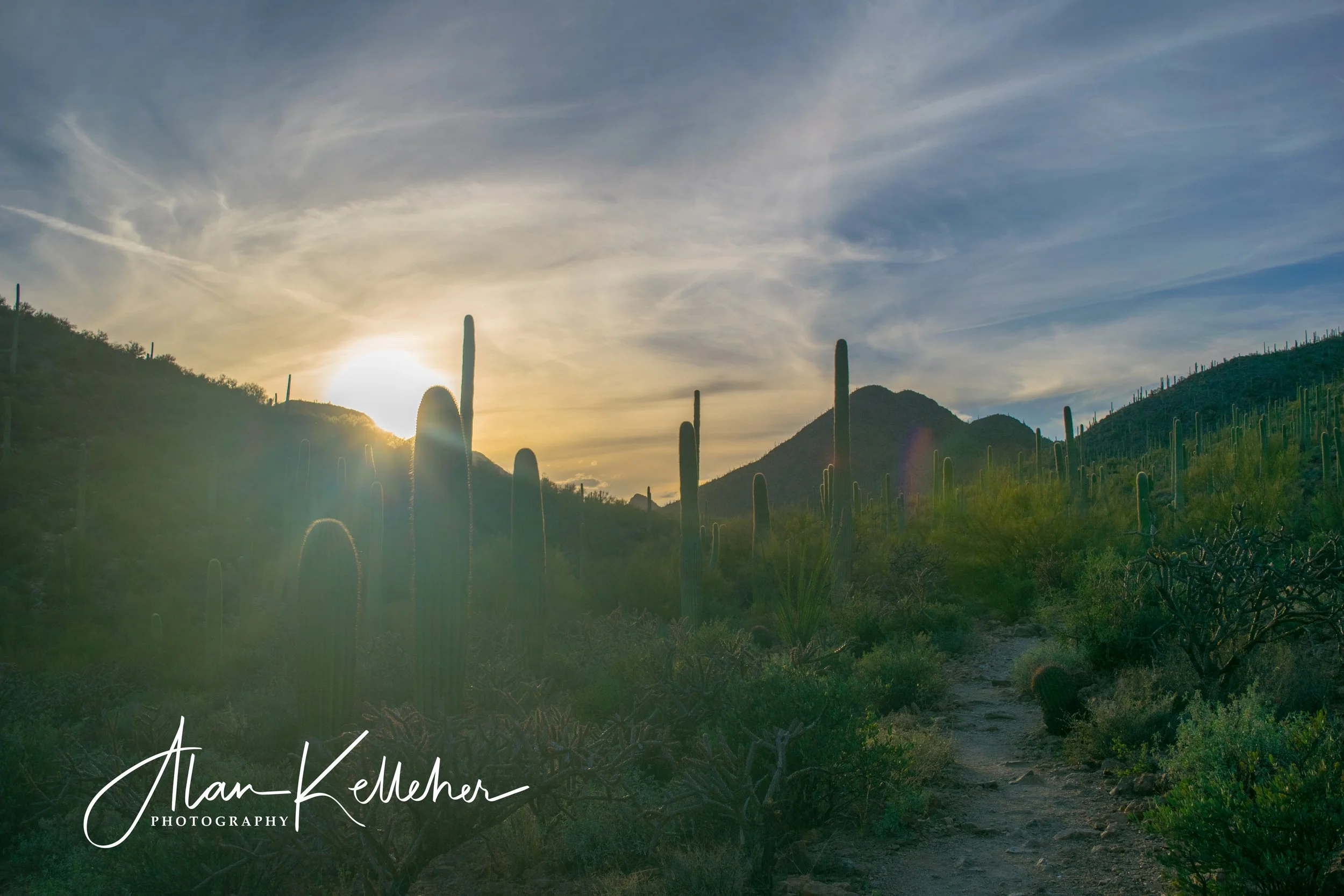 Arizona March 2018-9.jpg