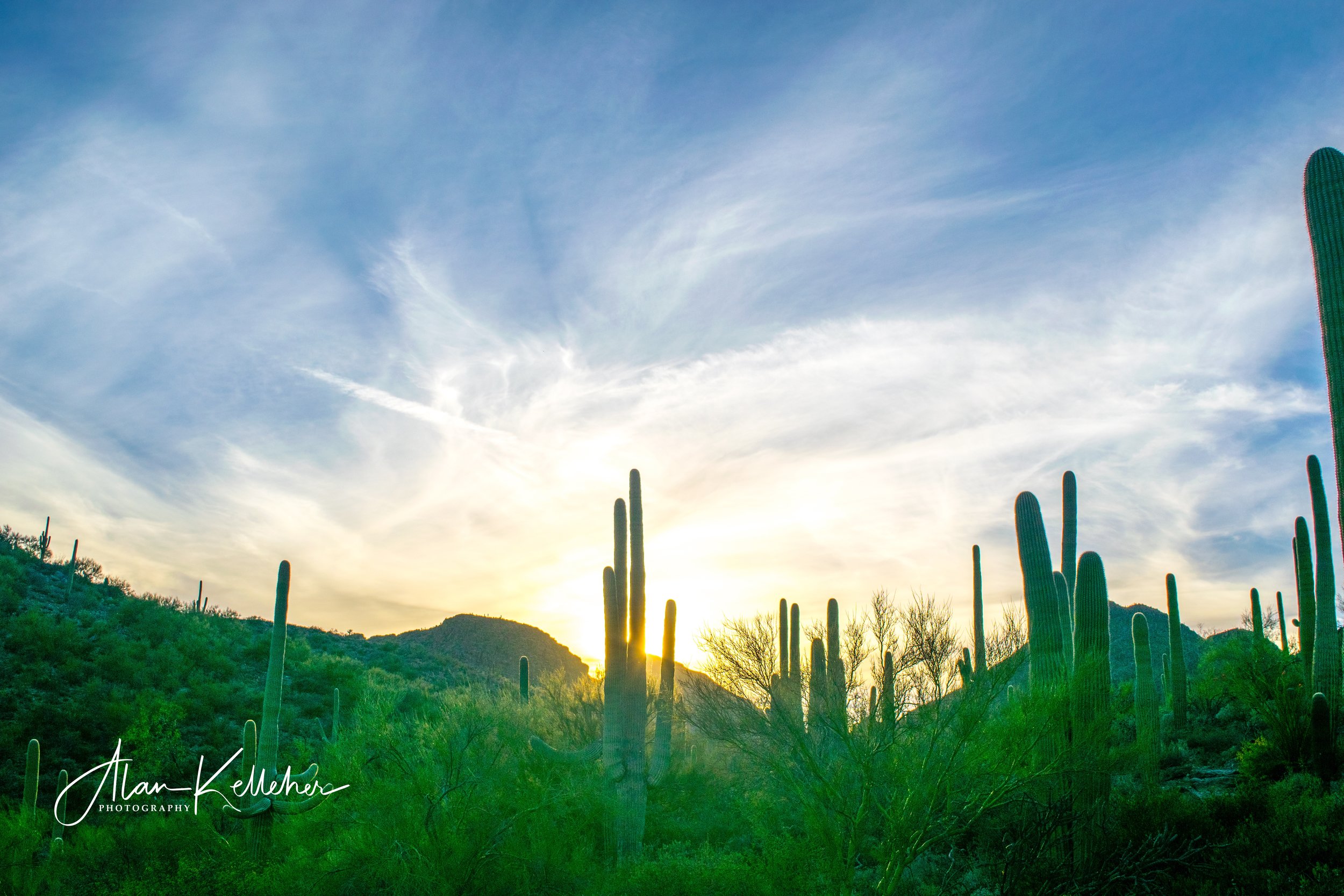 Arizona March 2018-11.jpg