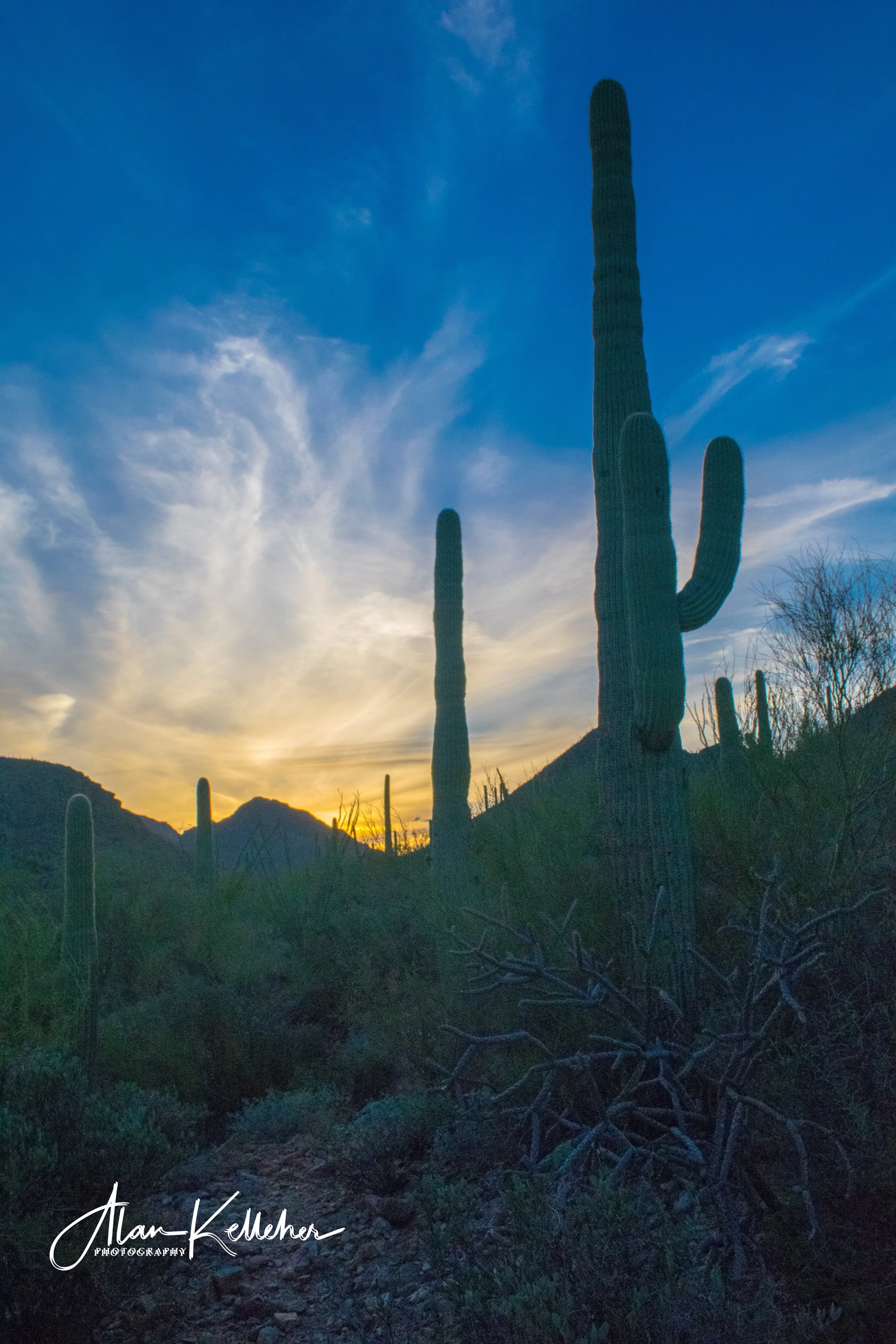 Arizona March 2018-15-1.jpg