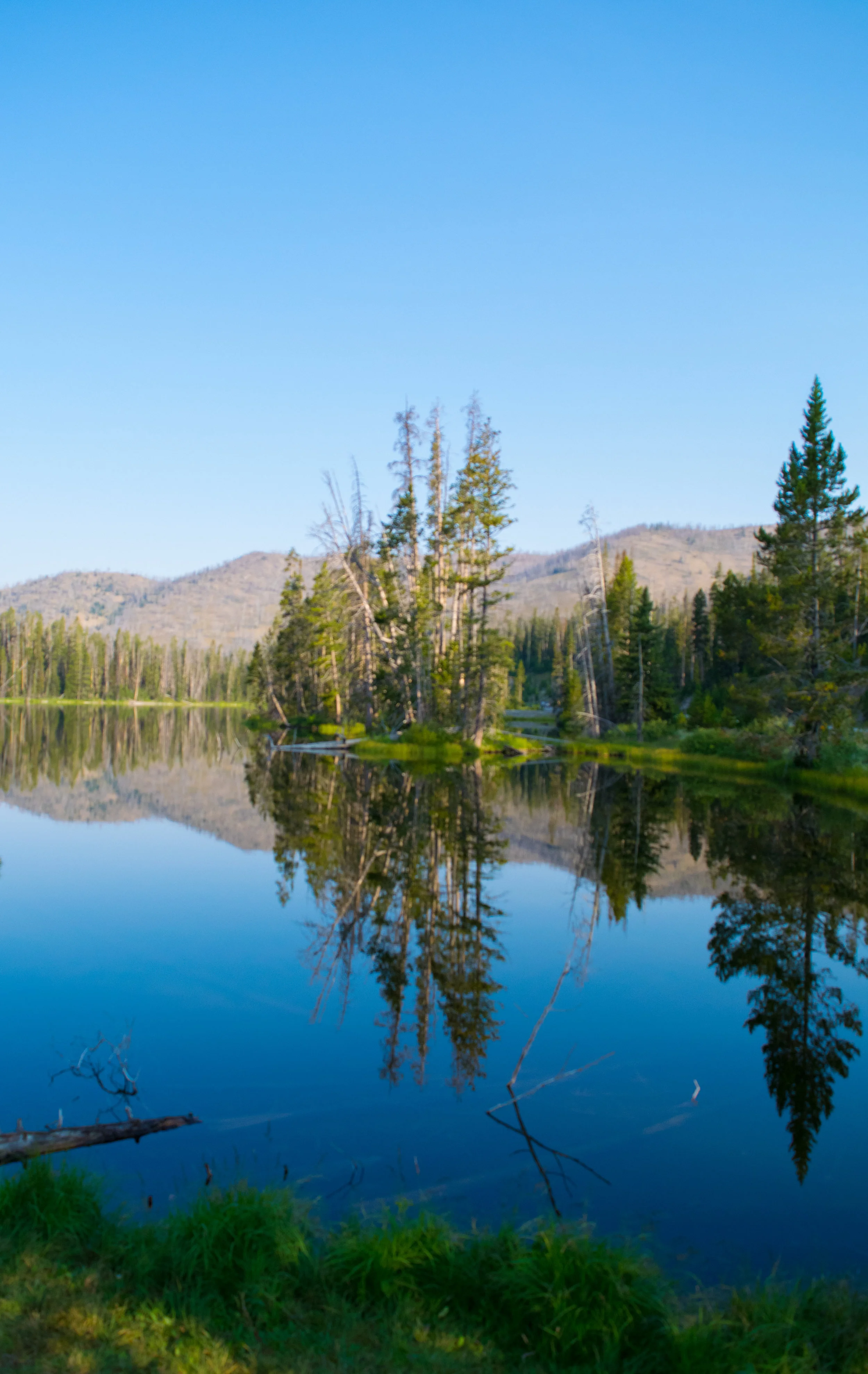 Yellowstone-1.jpg