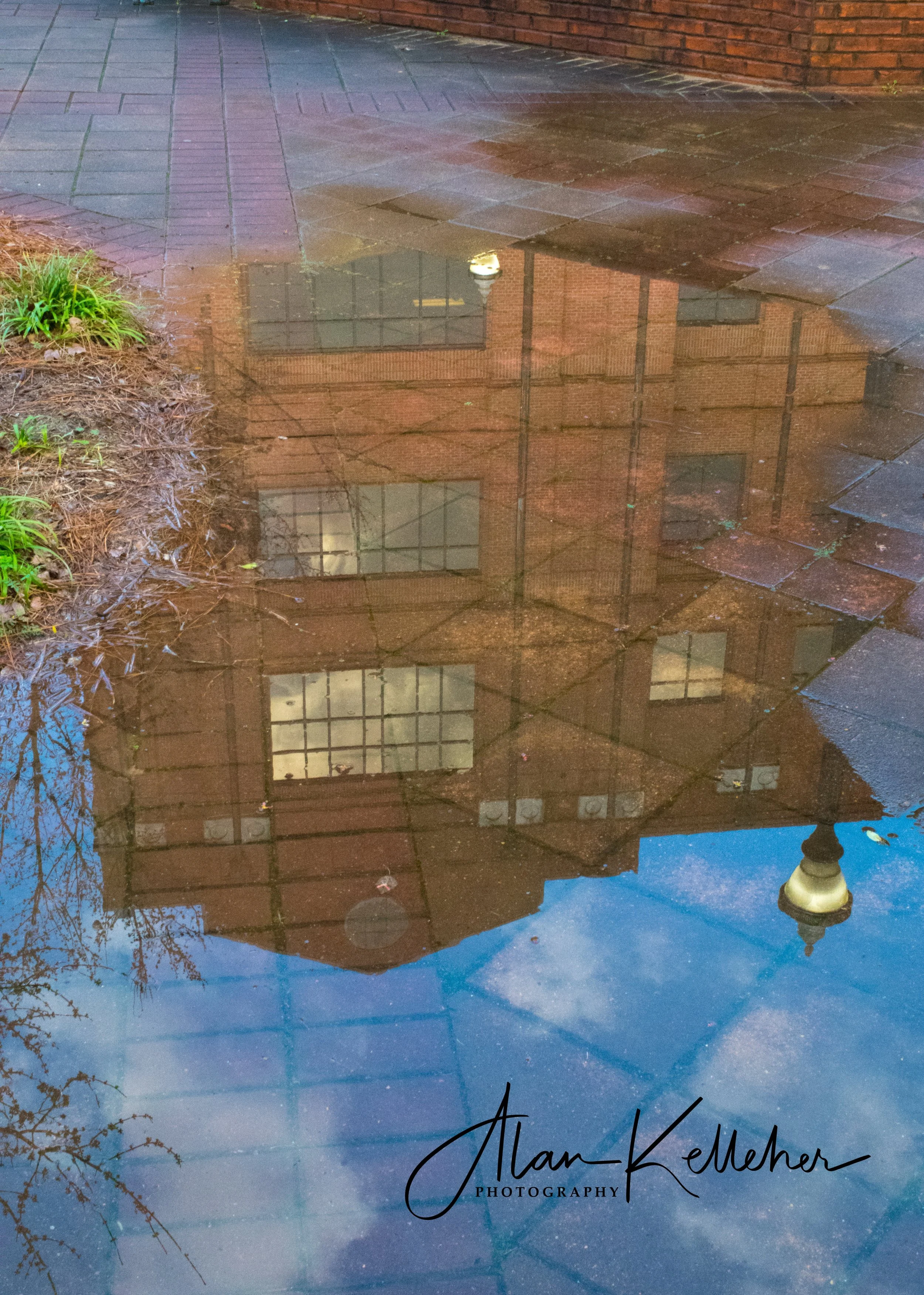 Downtown Rain-1.jpg