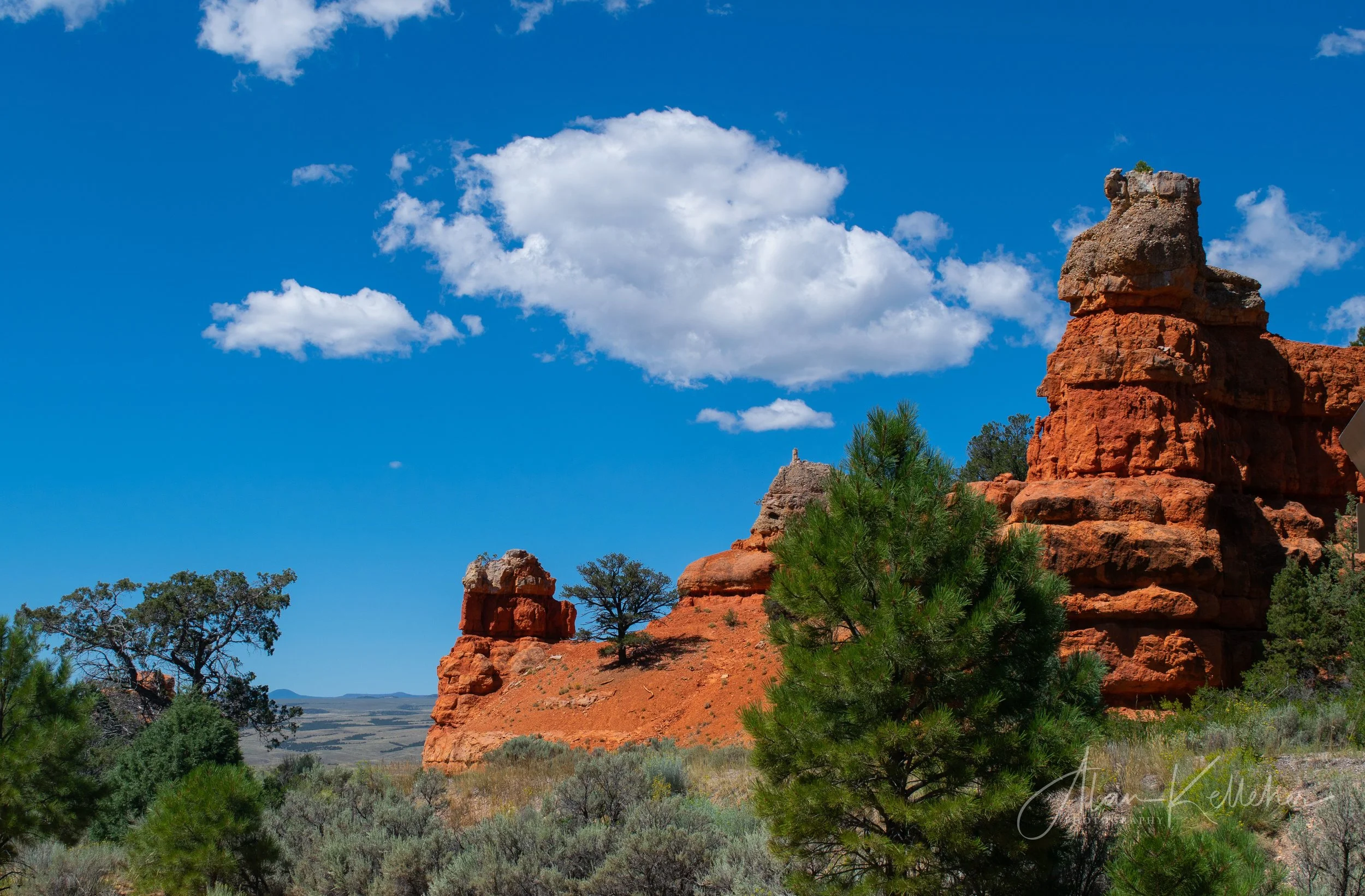 _DSC0359.jpg